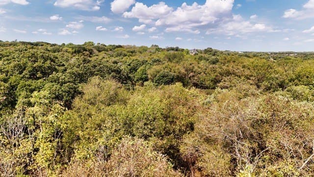 25.92 acres in Johnson County - photo 11