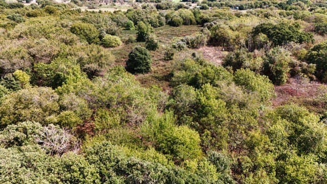25.92 acres in Johnson County - photo 14