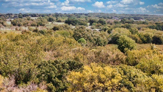 25.92 acres in Johnson County - photo 20