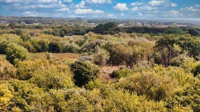 25.92 acres in Johnson County - photo 19