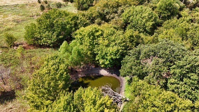 25.92 acres in Johnson County - photo 13