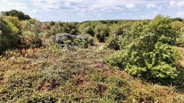 25.92 acres in Johnson County - photo 5
