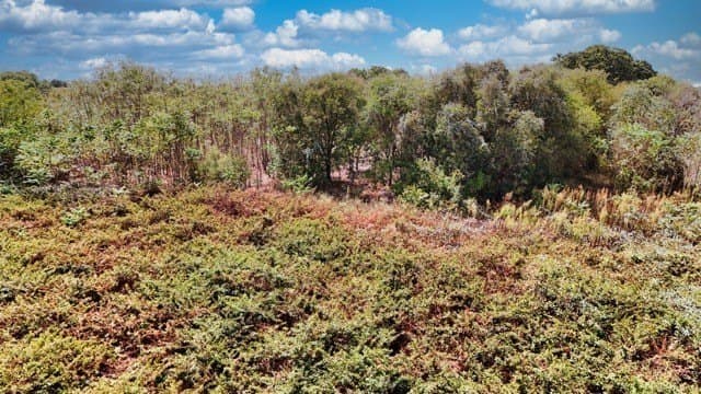 25.92 acres in Johnson County - photo 6