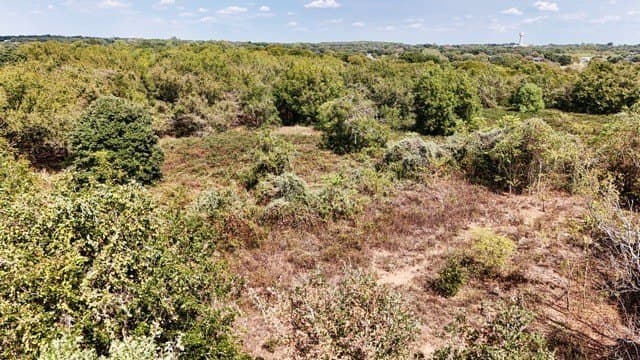 25.92 acres in Johnson County - photo 16