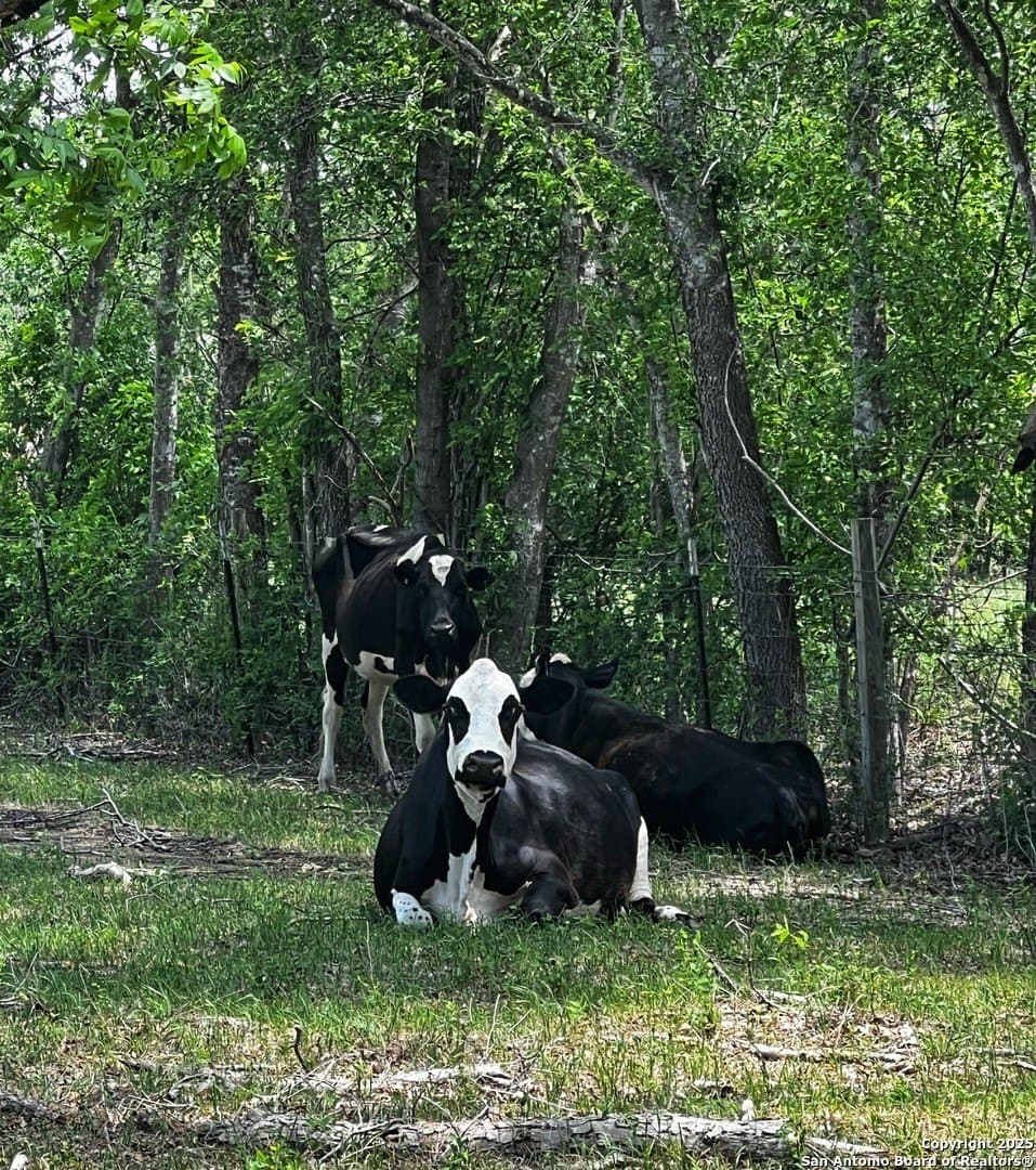 11.17 acres in Medina County - photo 12