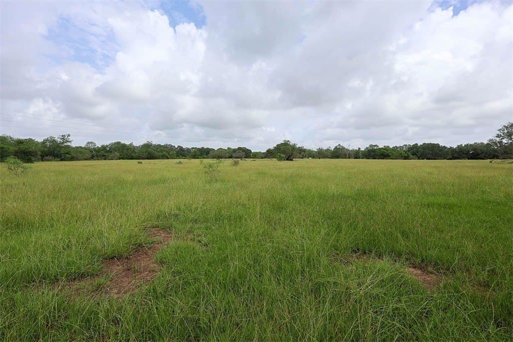 29.25 acres in Colorado County - photo 16