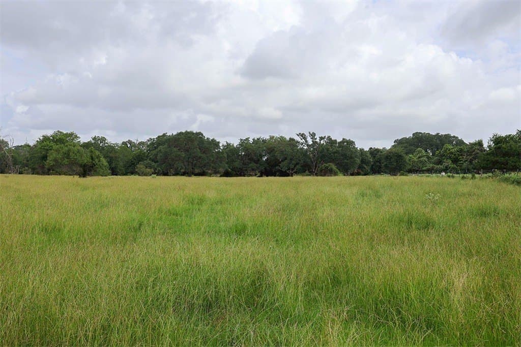 29.25 acres in Colorado County featured view
