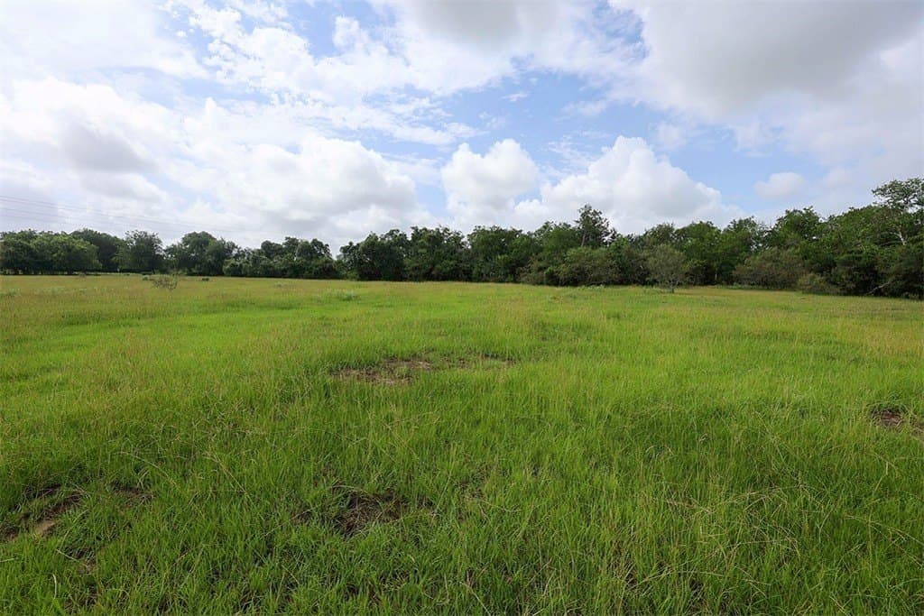 29.25 acres in Colorado County gallery image 3