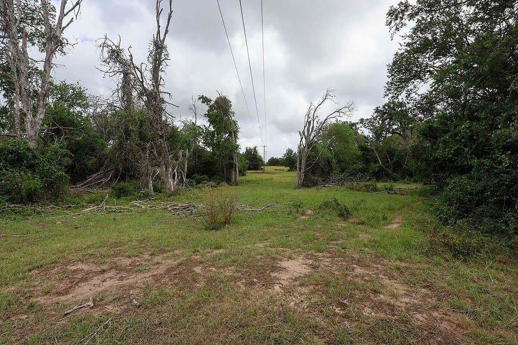 29.25 acres in Colorado County - photo 11