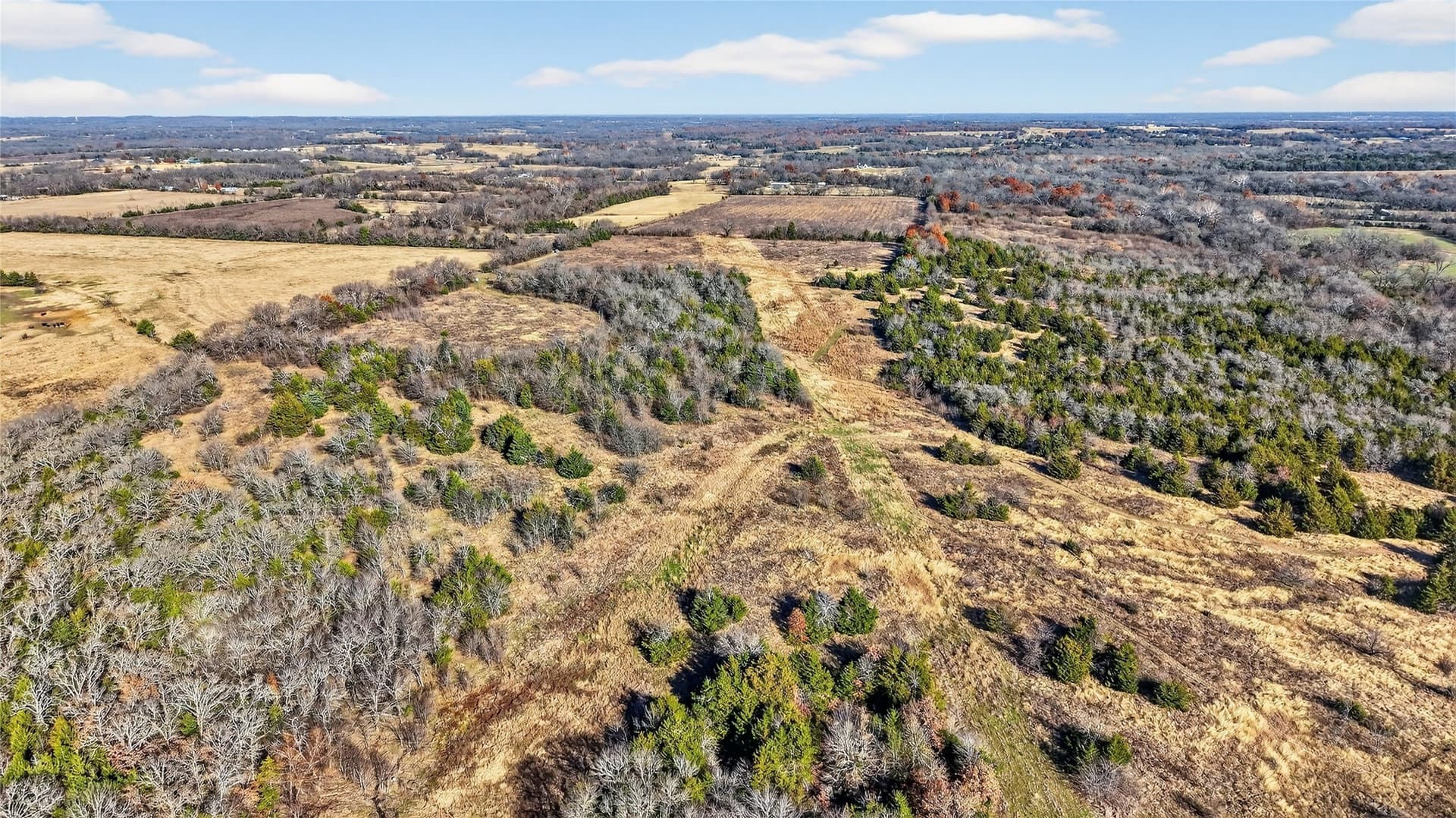 91 acres in Grayson County - photo 16