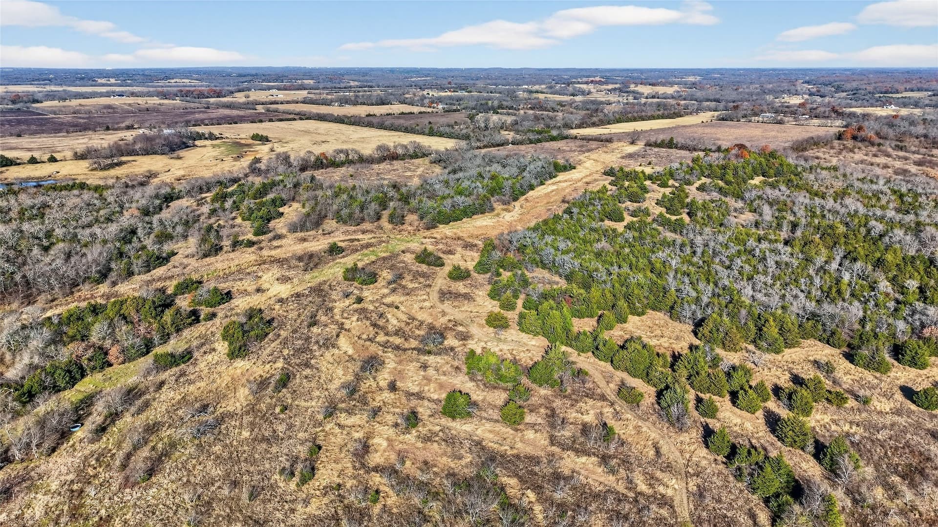 91 acres in Grayson County - photo 17