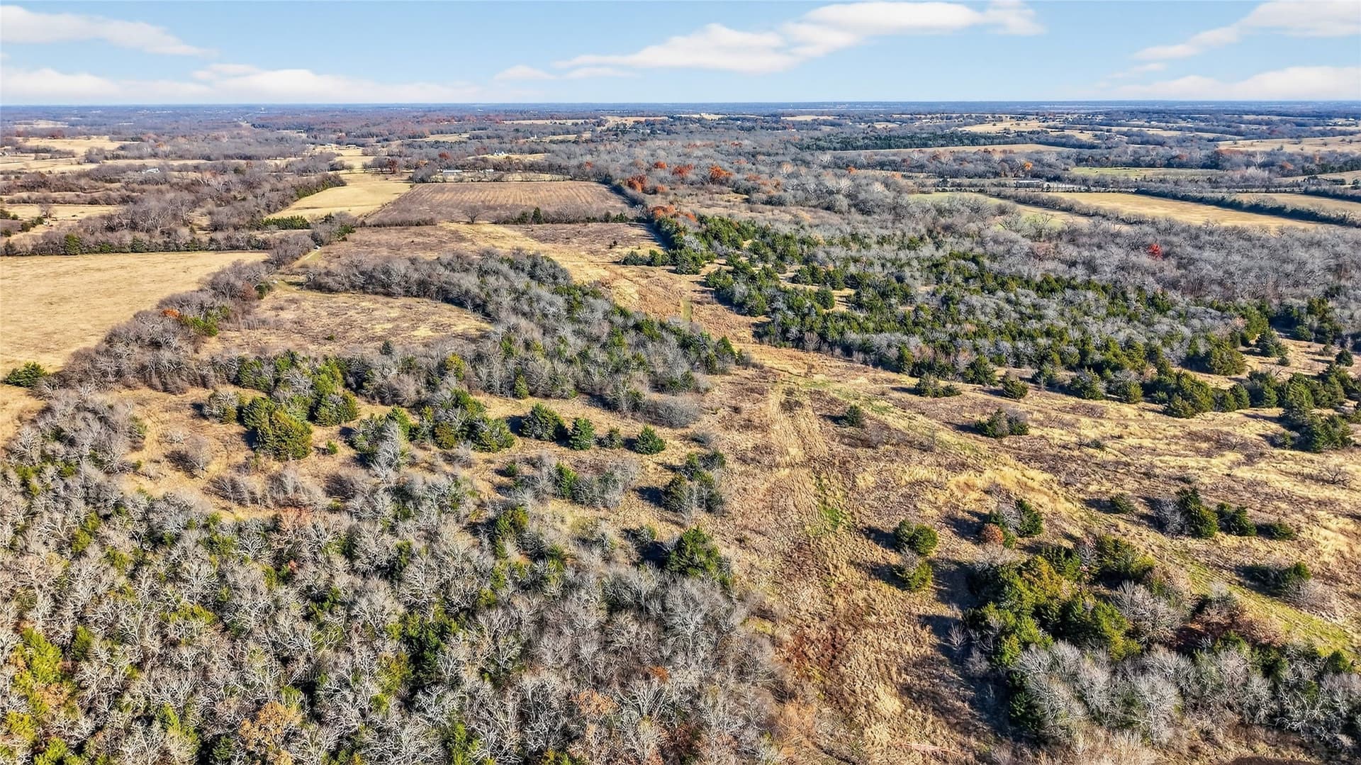 91 acres in Grayson County - photo 15