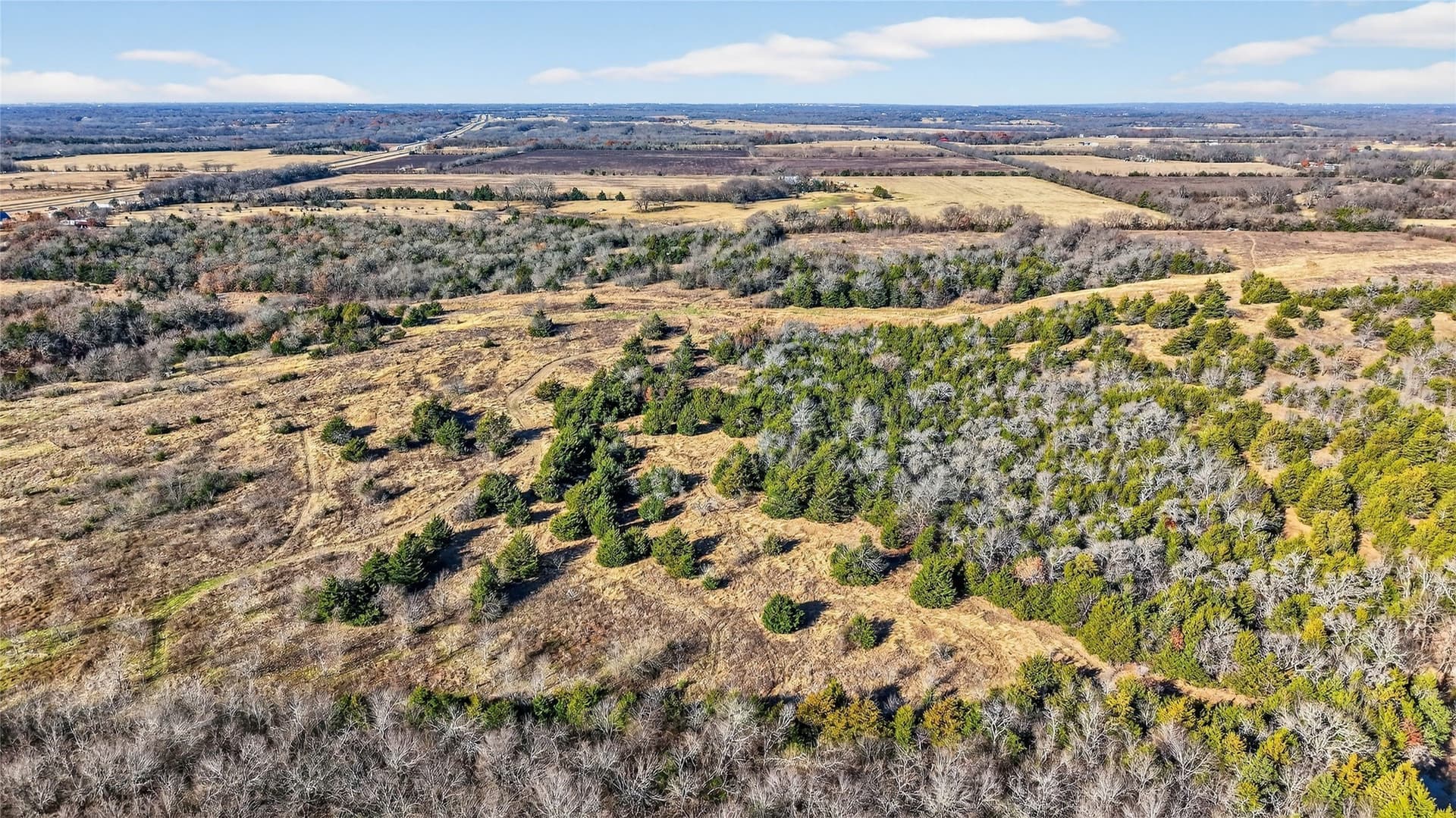 91 acres in Grayson County - photo 18