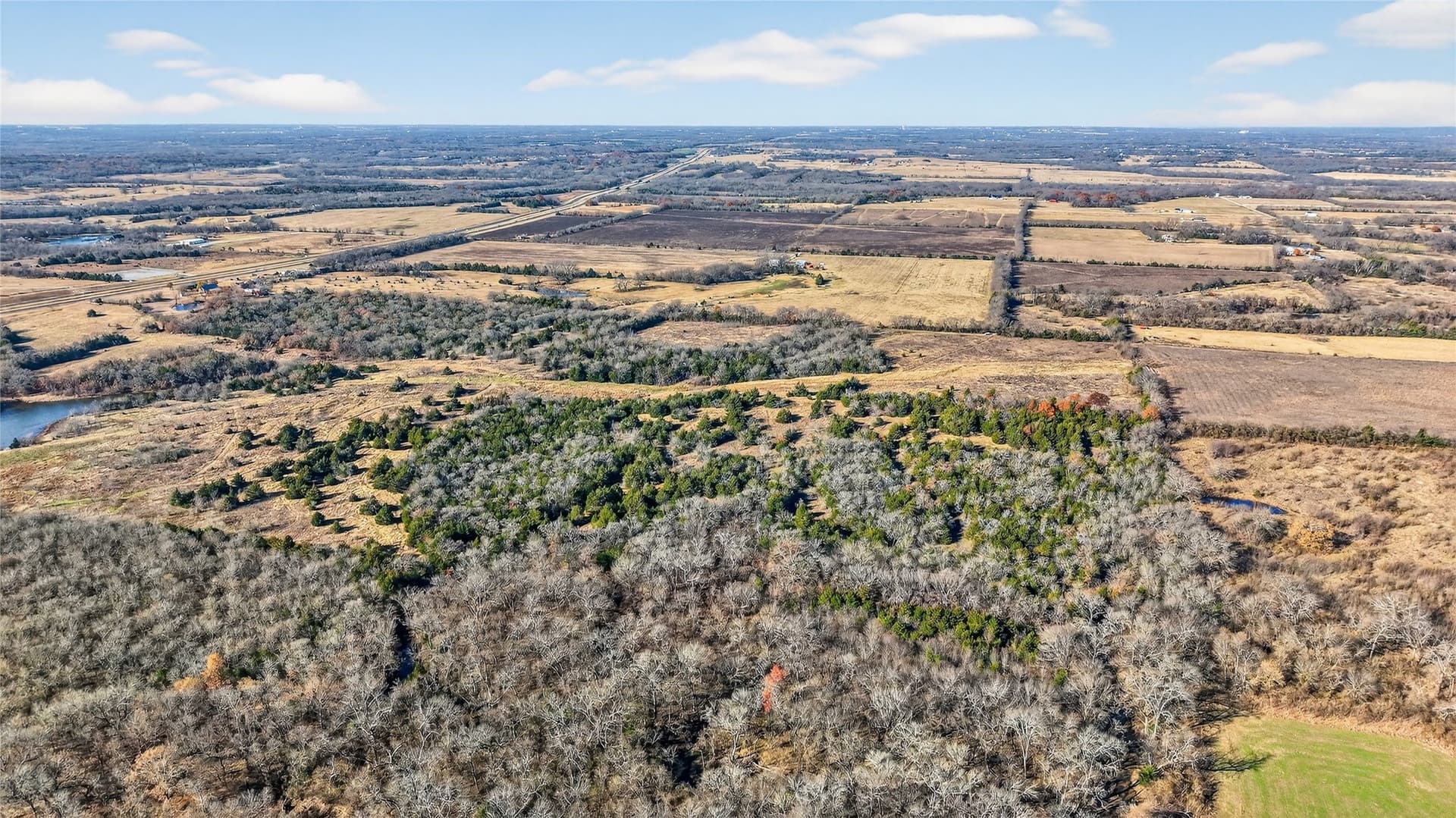 91 acres in Grayson County - photo 10