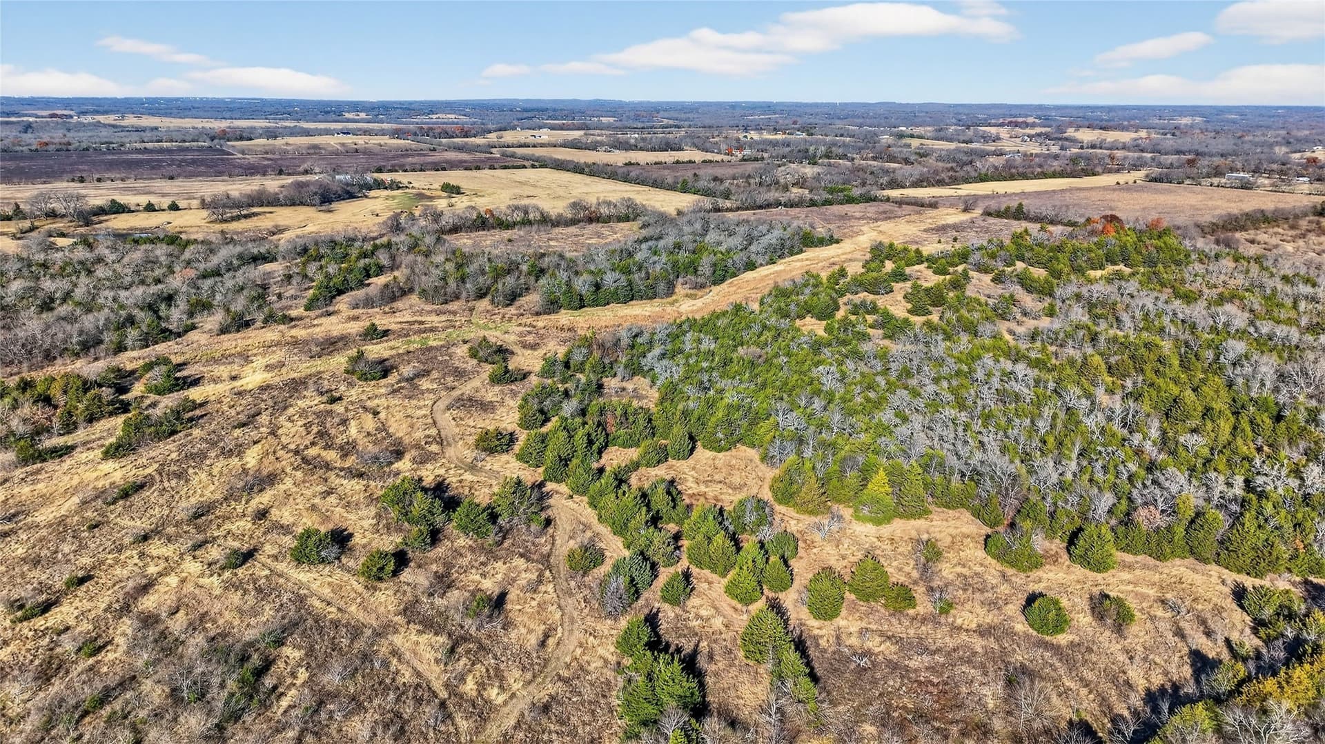 91 acres in Grayson County - photo 25
