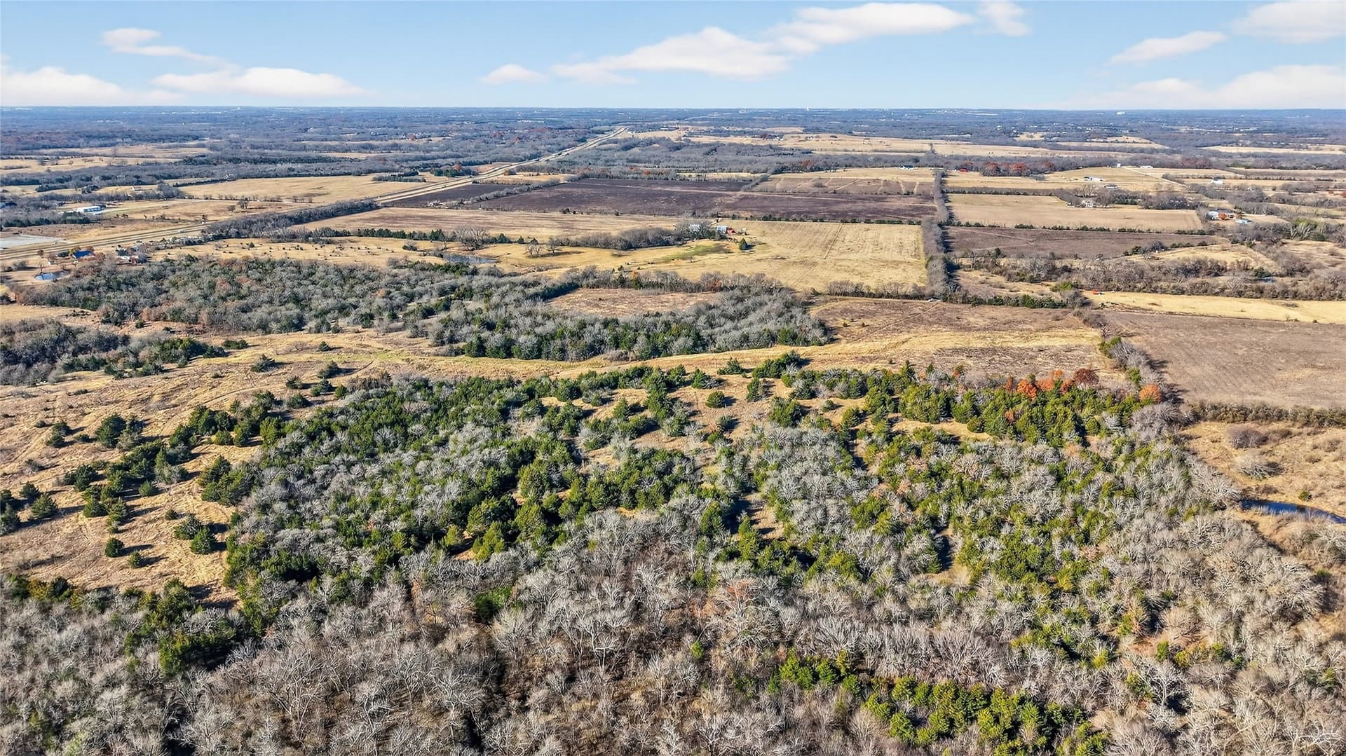 91 acres in Grayson County - photo 21