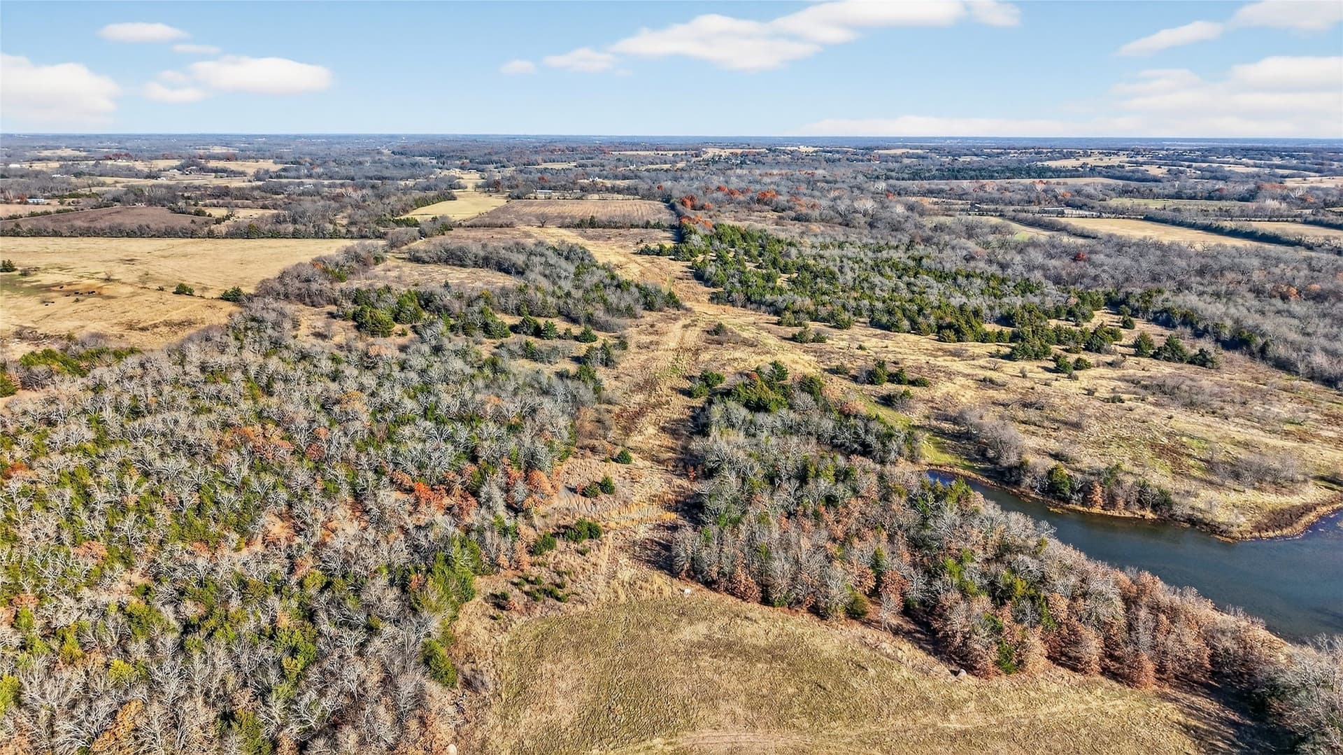 91 acres in Grayson County - photo 13