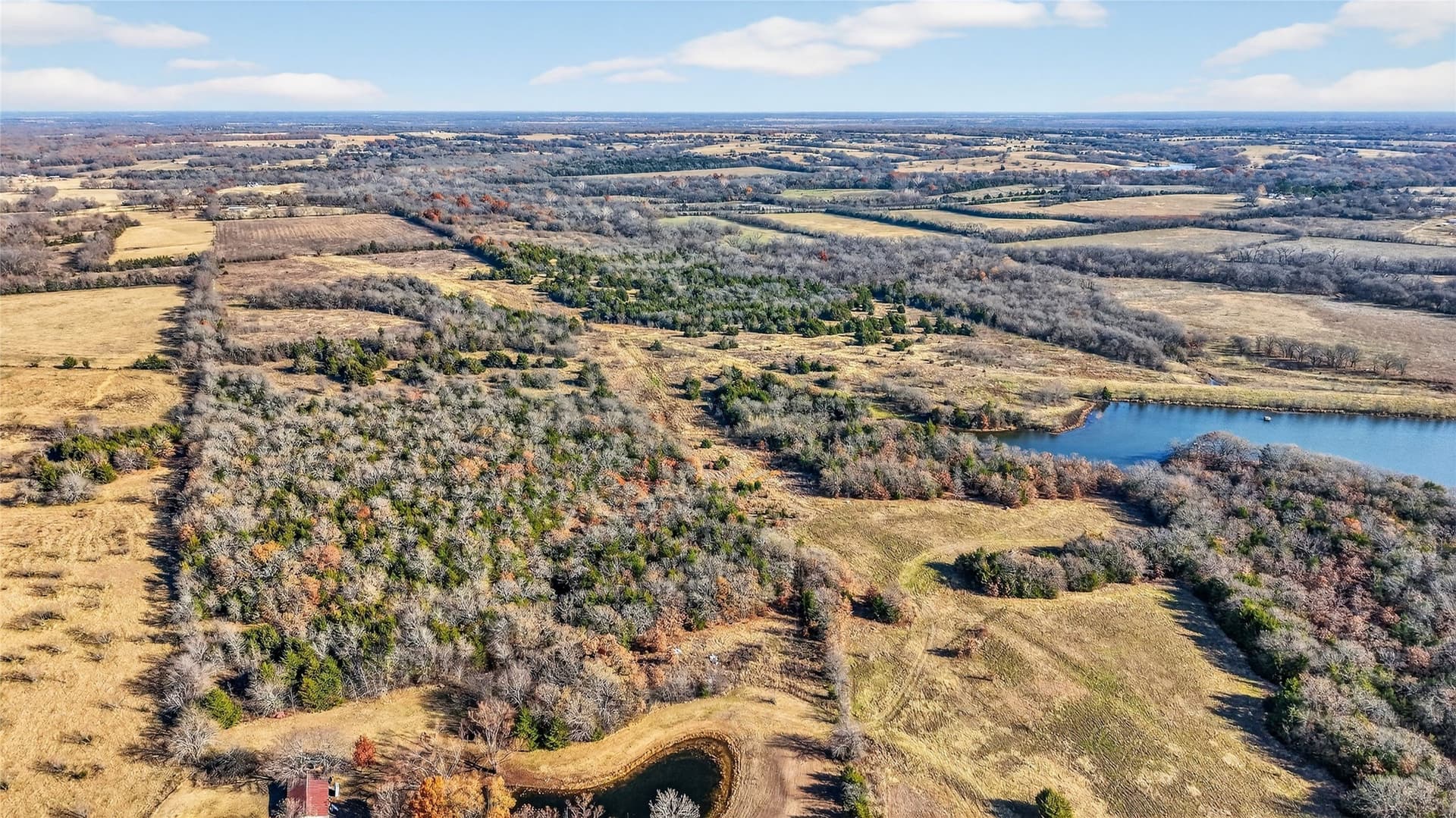 91 acres in Grayson County - photo 14
