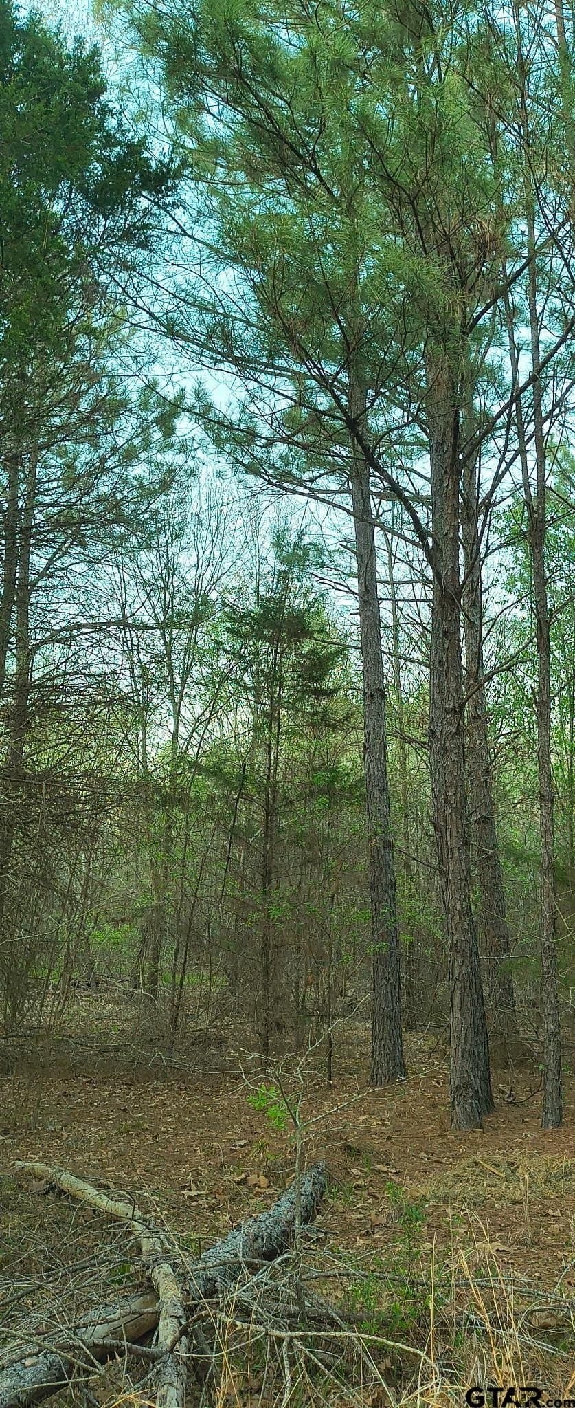 12 acres in Smith County - photo 10