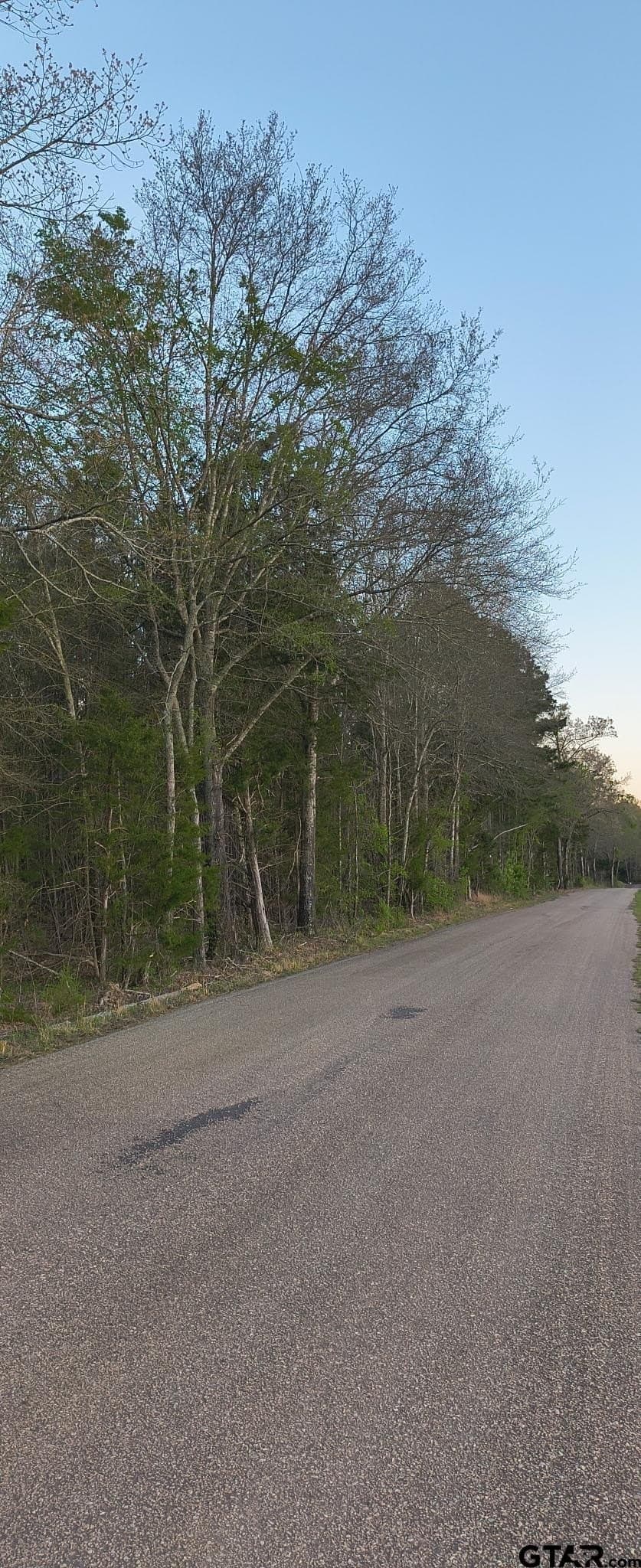 12 acres in Smith County - photo 6