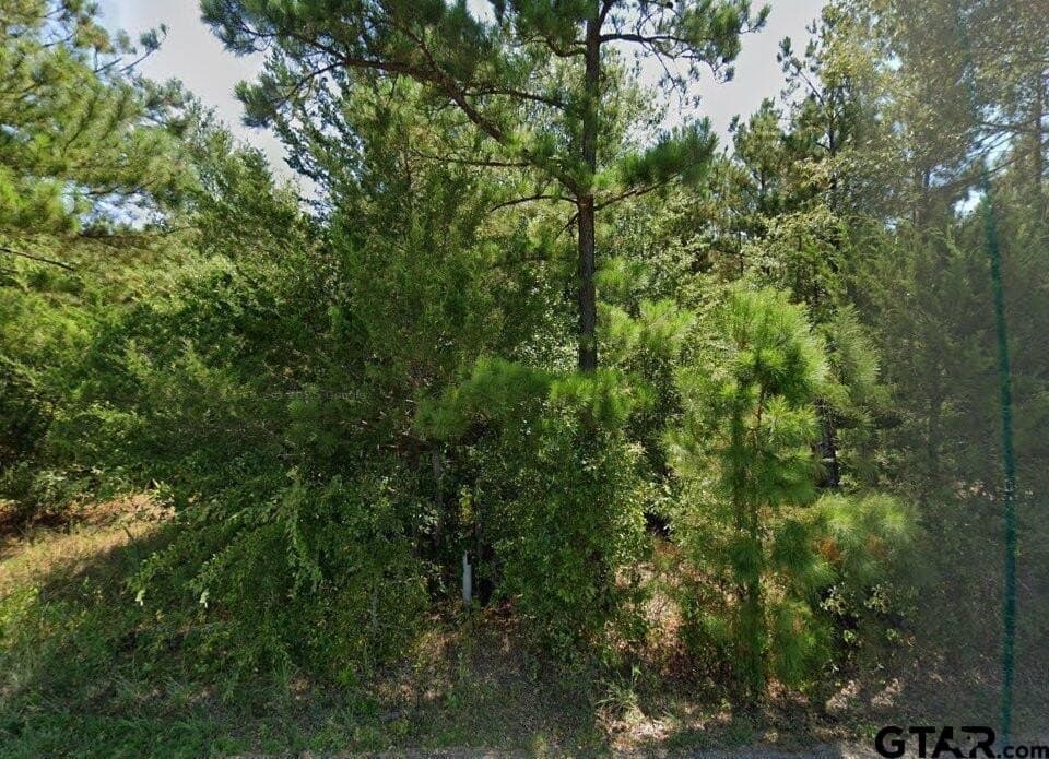 12 acres in Smith County - photo 11