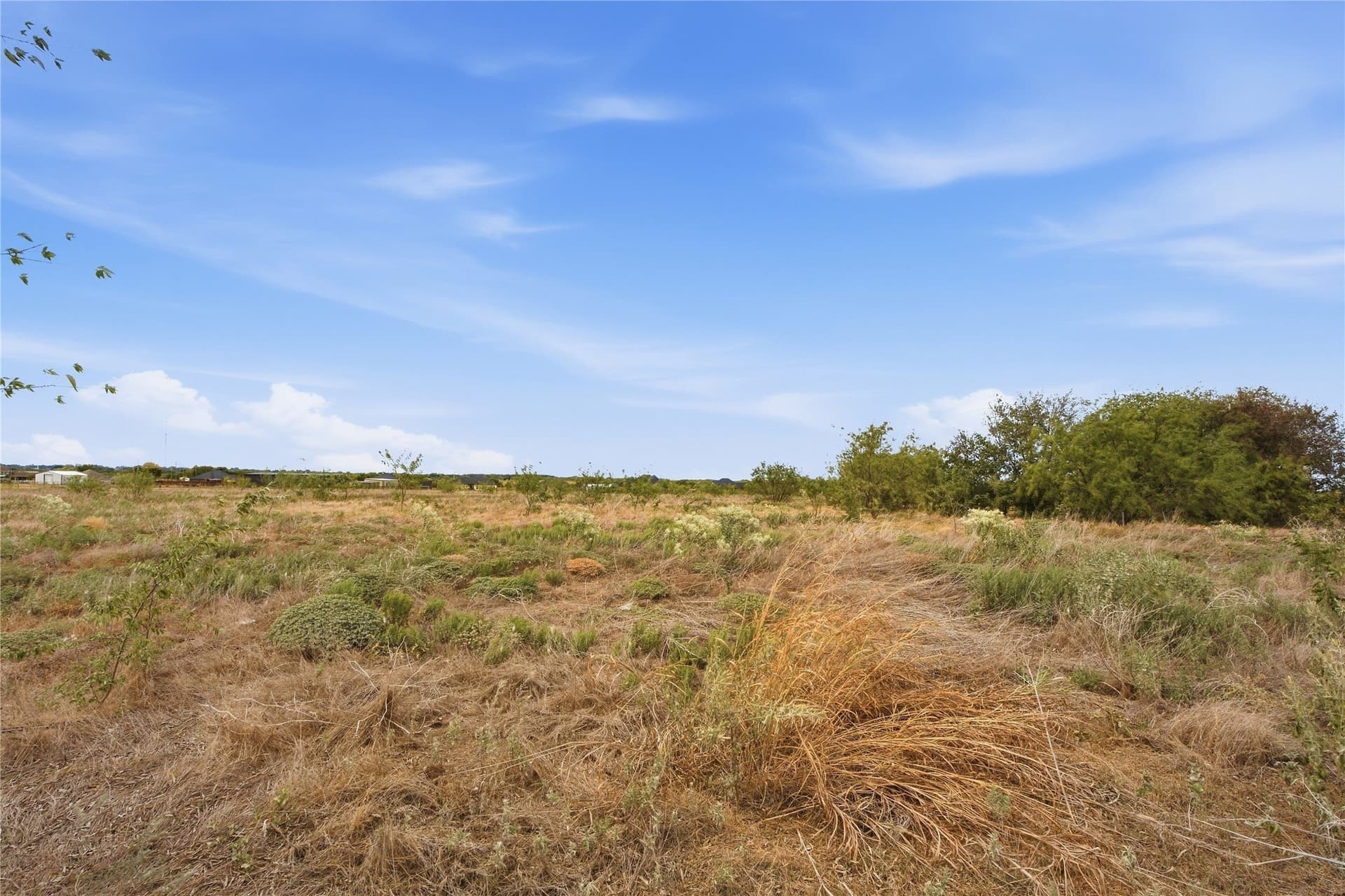 1.5 acres in Navarro County - photo 3