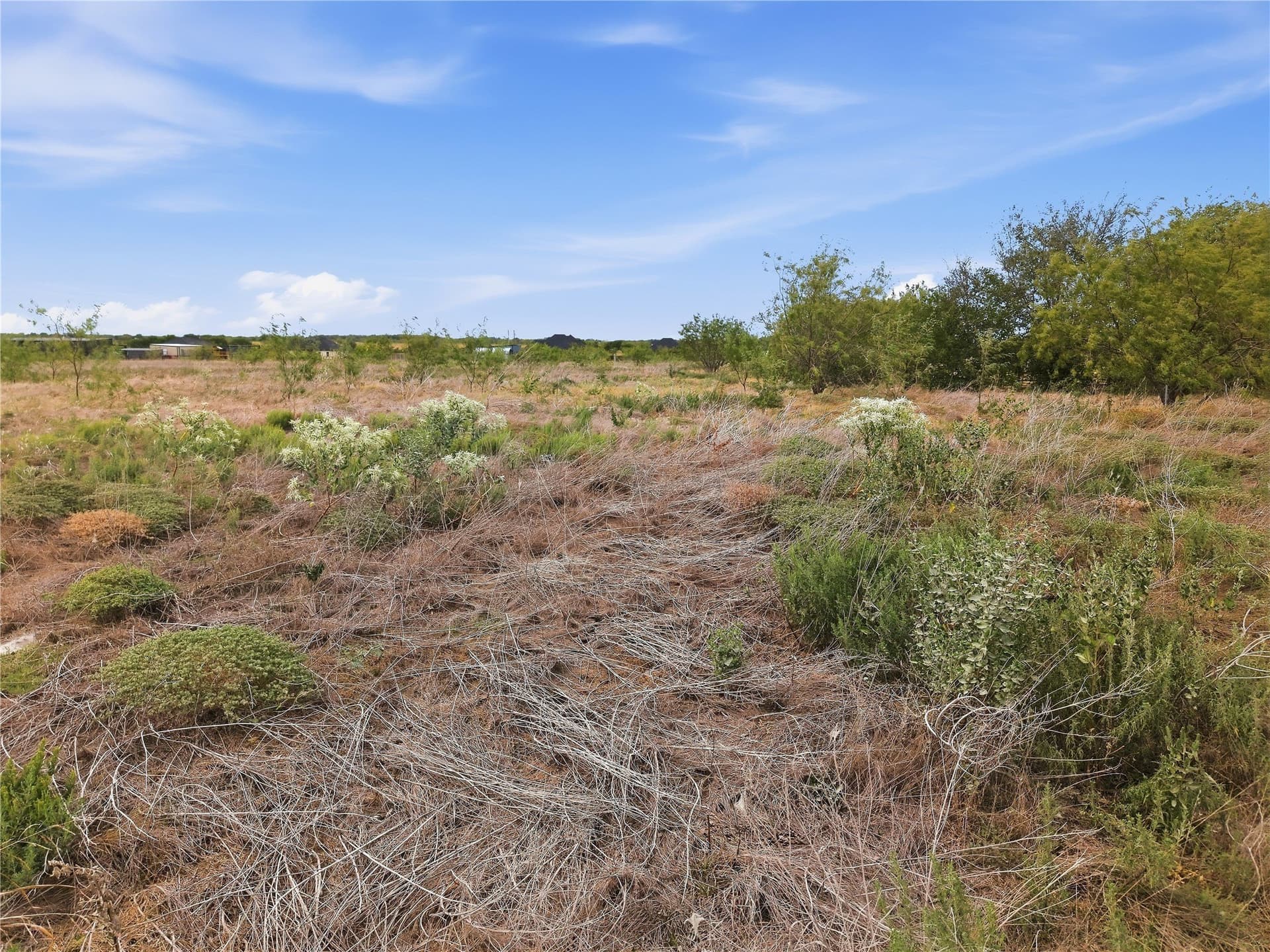 1.5 acres in Navarro County - photo 17