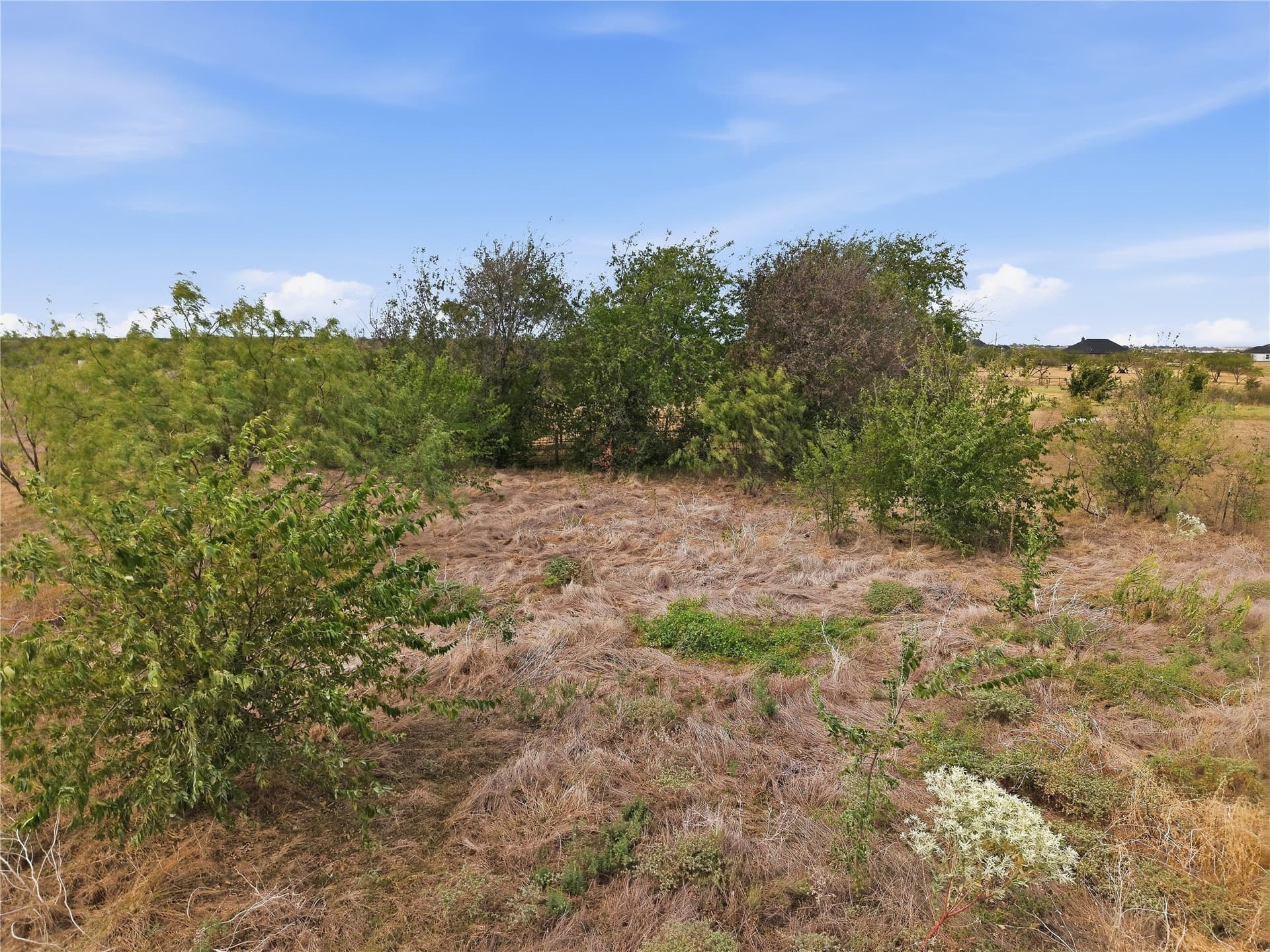 1.5 acres in Navarro County - photo 19