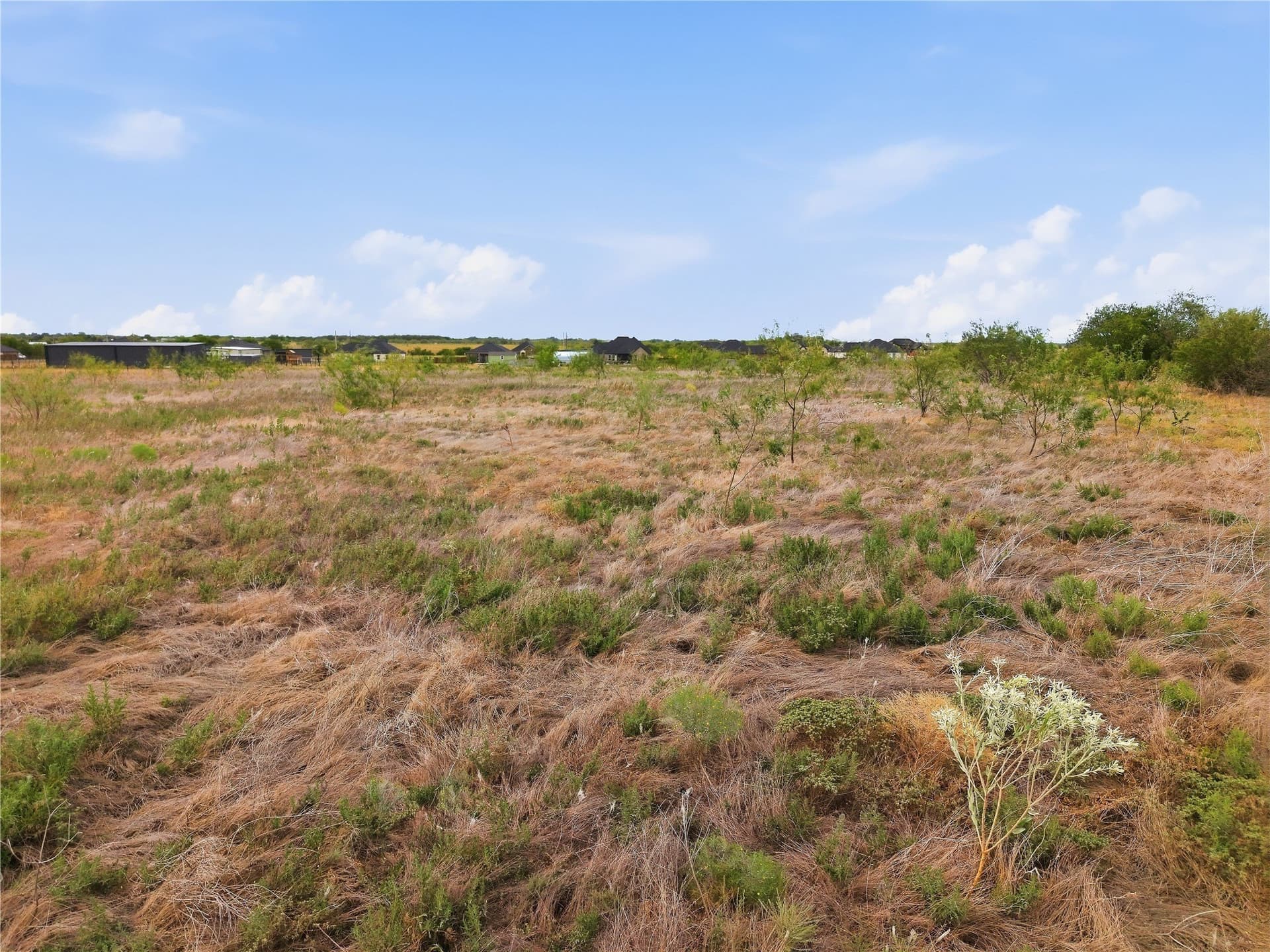 1.5 acres in Navarro County - photo 18