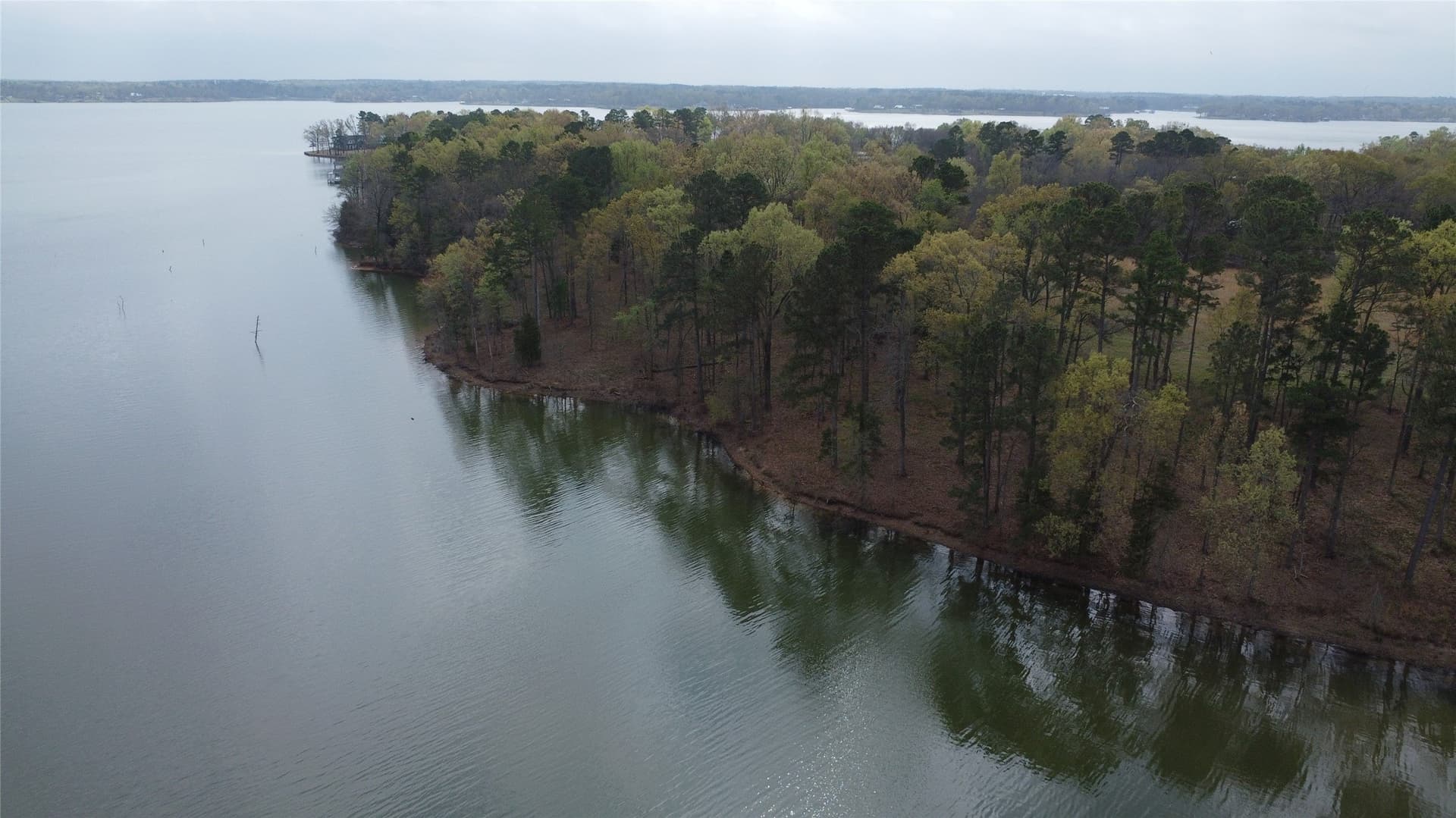 69.14 acres in Titus County - photo 30