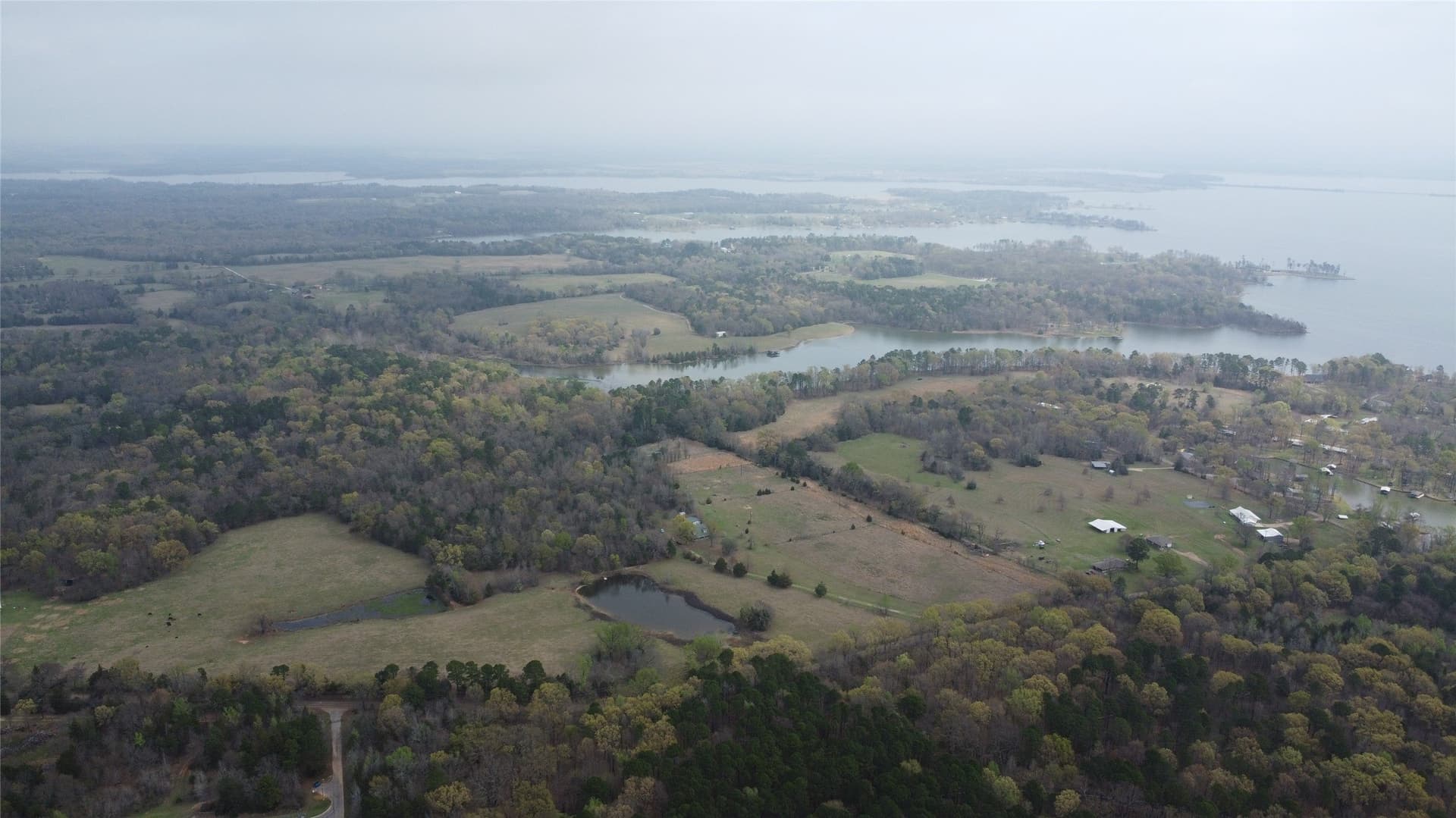 69.14 acres in Titus County - photo 16