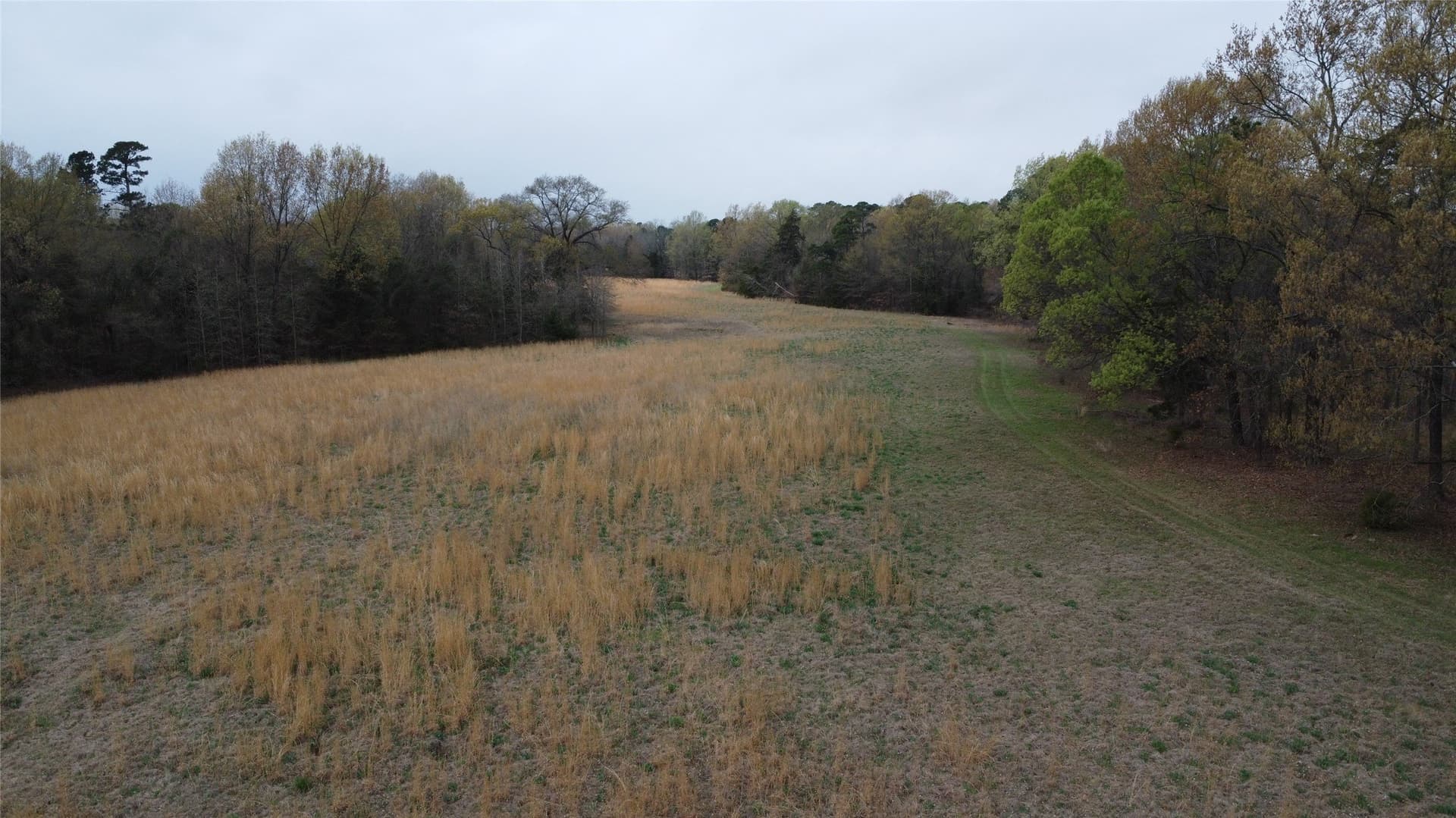 69.14 acres in Titus County - photo 13
