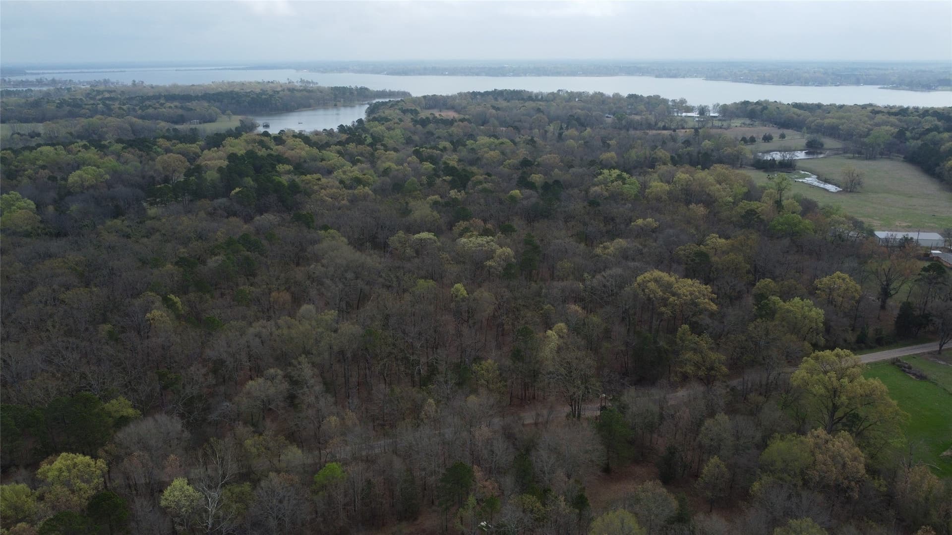 69.14 acres in Titus County - photo 23