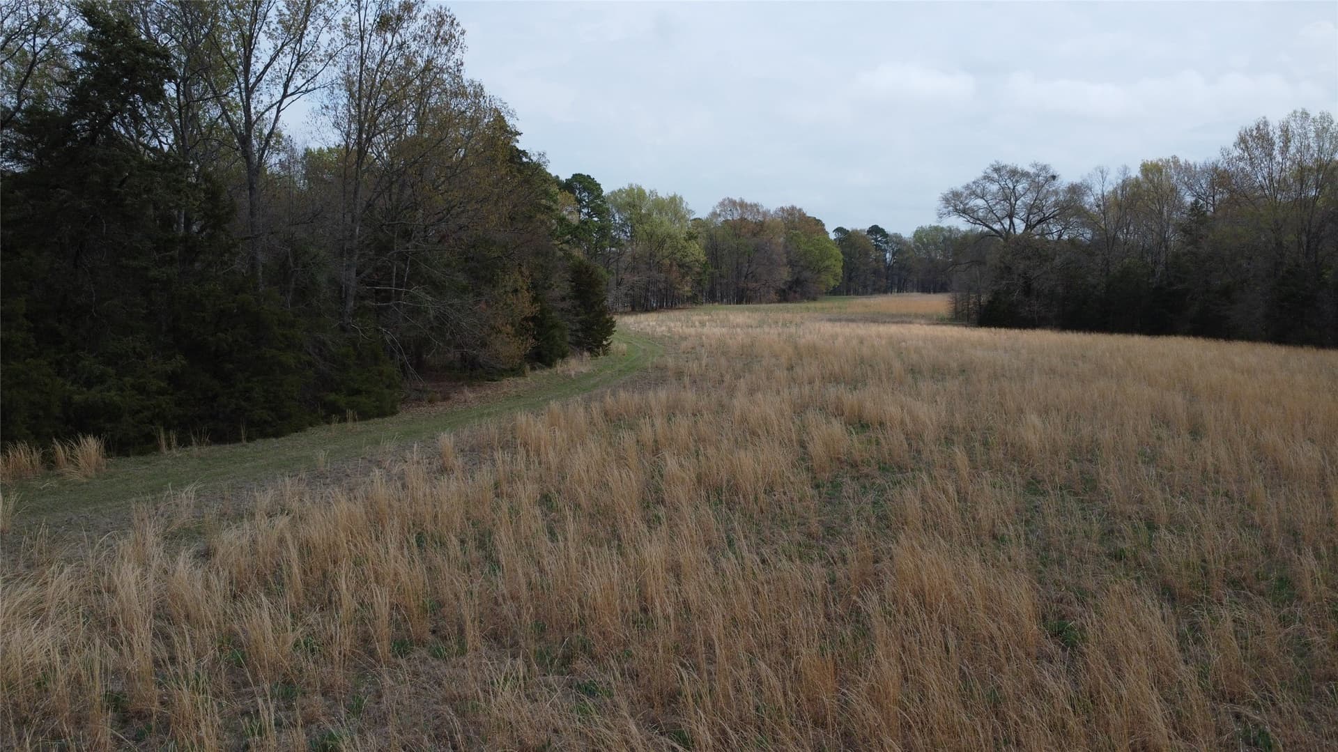 69.14 acres in Titus County - photo 27