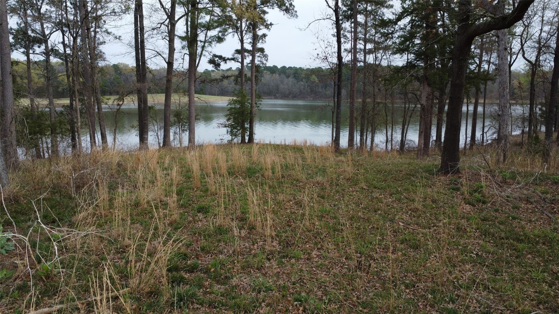69.14 acres in Titus County - photo 14