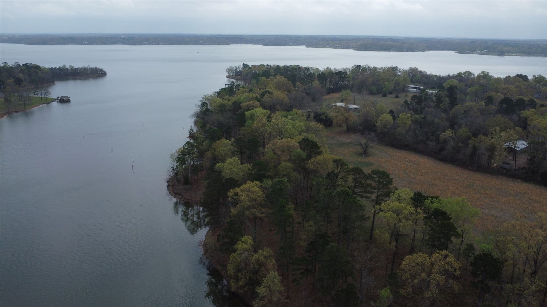 69.14 acres in Titus County - photo 2