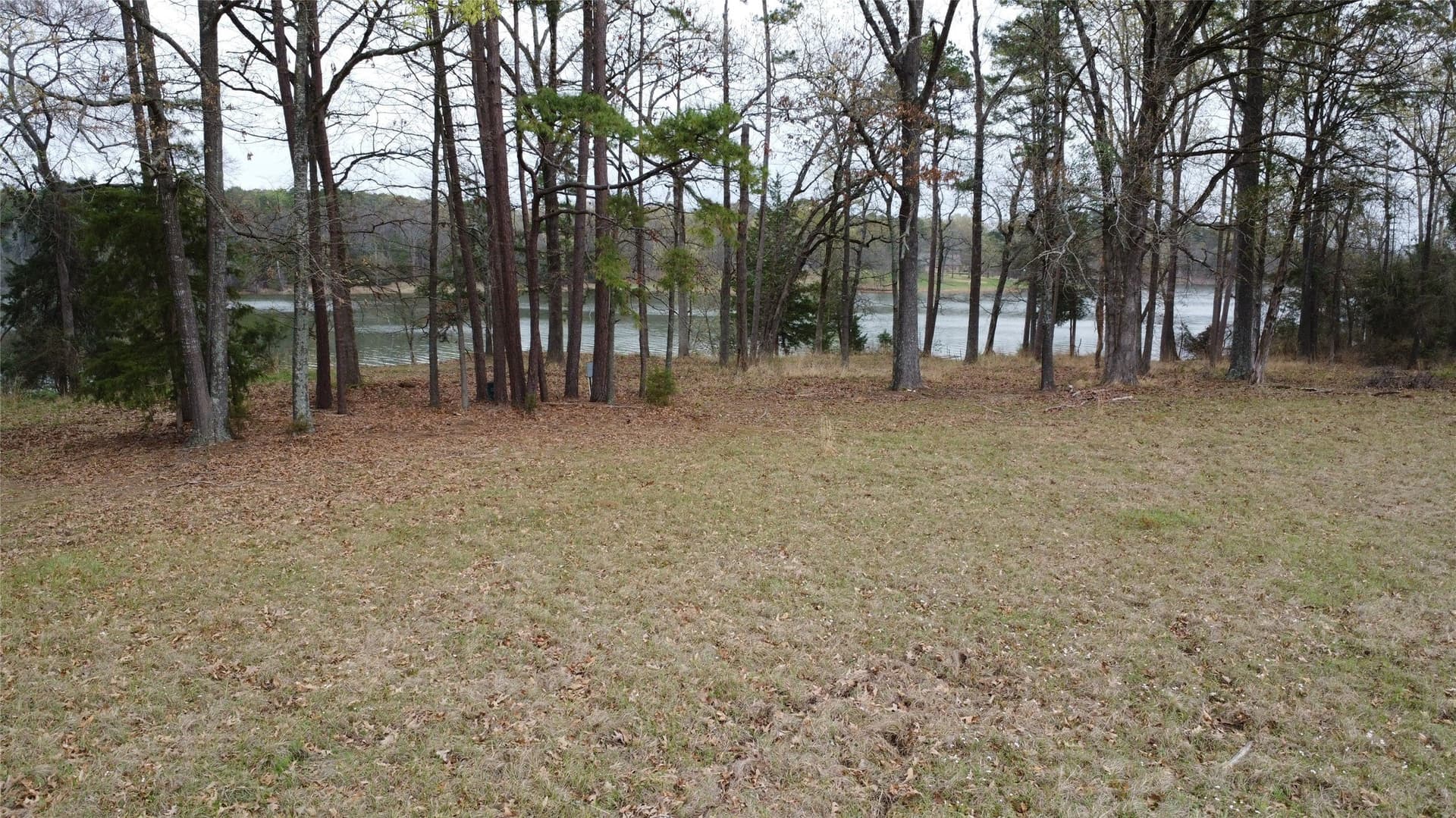 69.14 acres in Titus County - photo 10