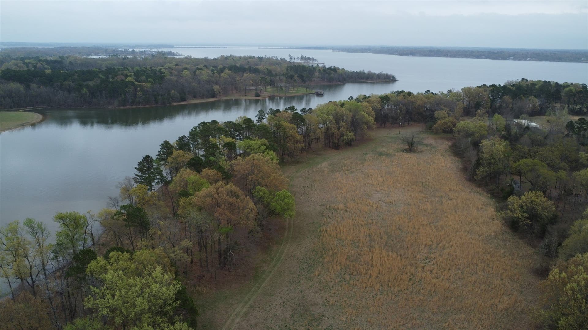69.14 acres in Titus County - photo 6