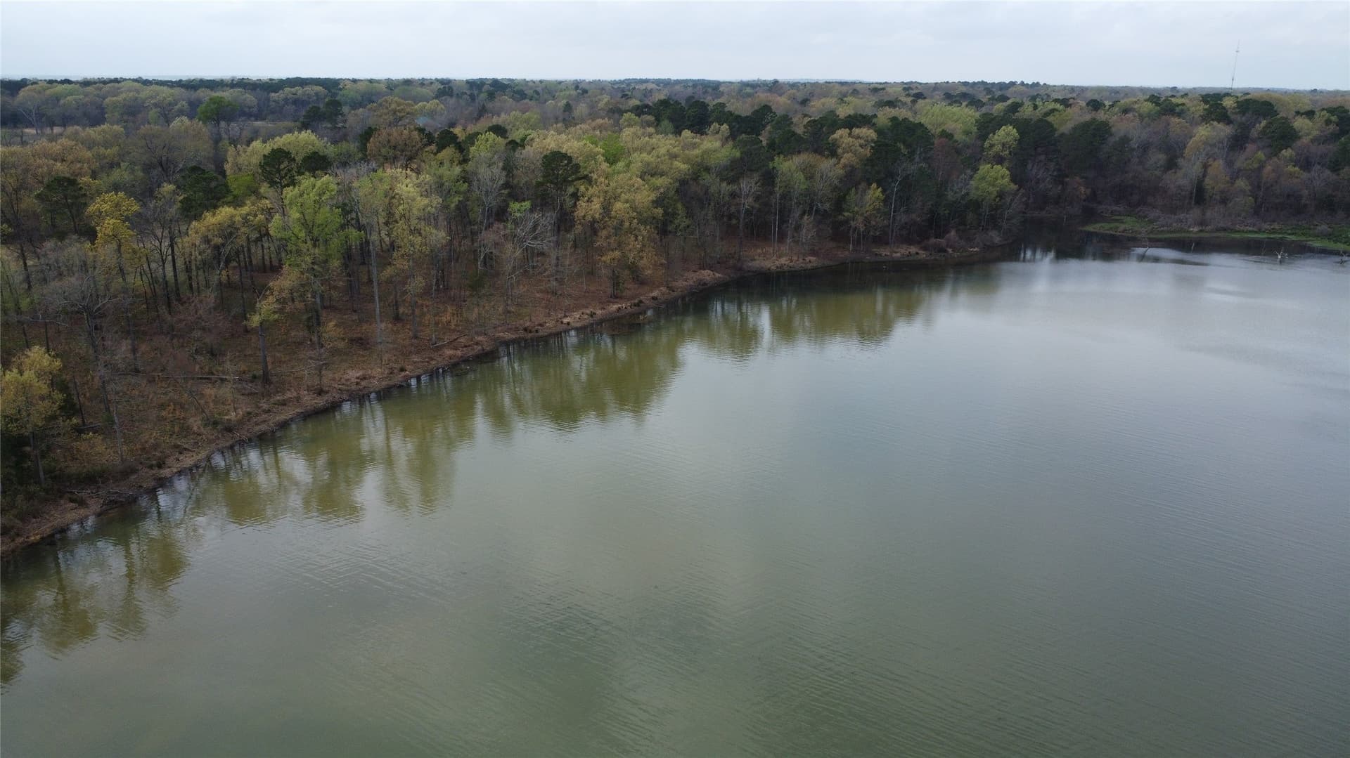 69.14 acres in Titus County - photo 31