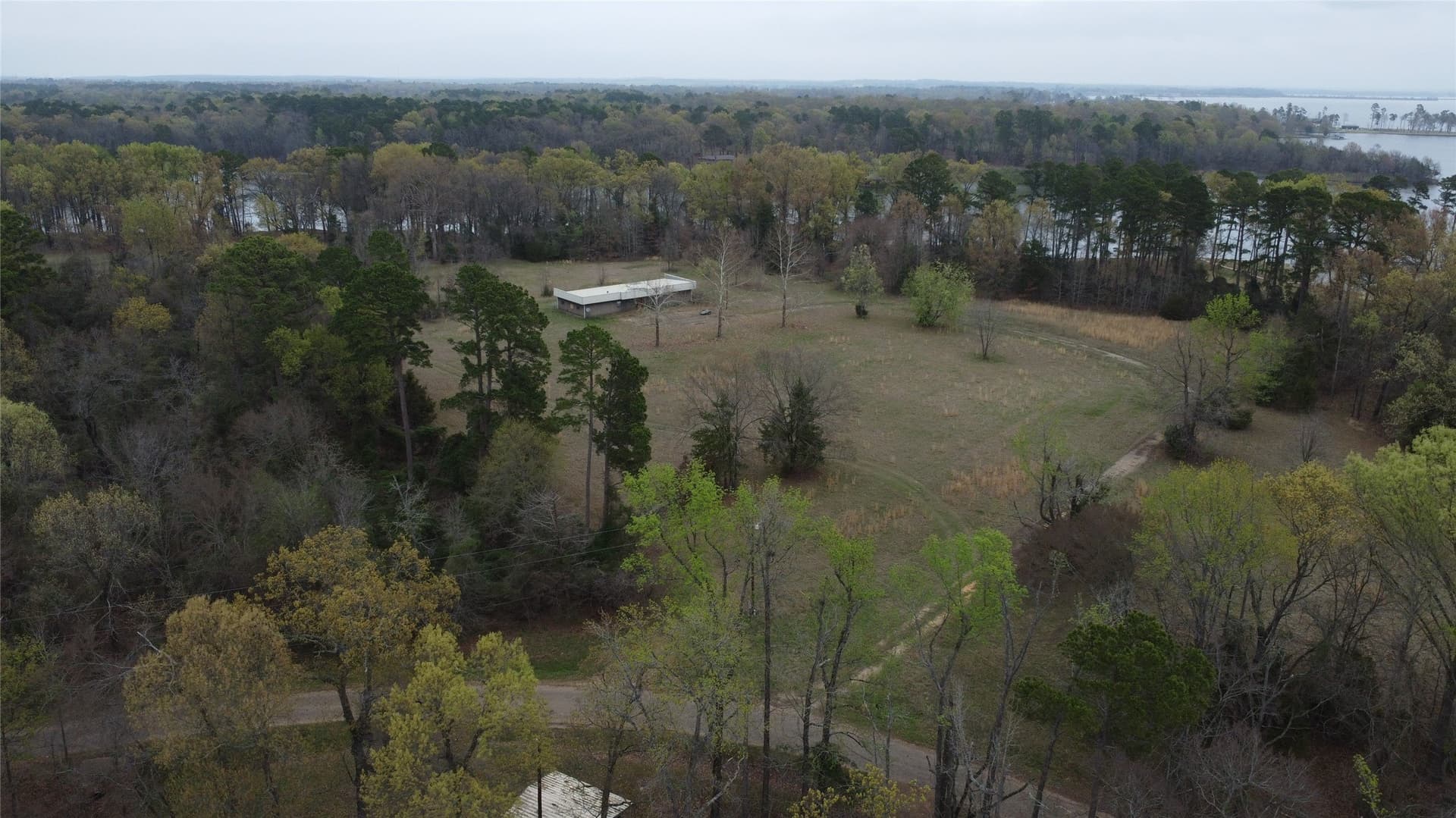 69.14 acres in Titus County - photo 7
