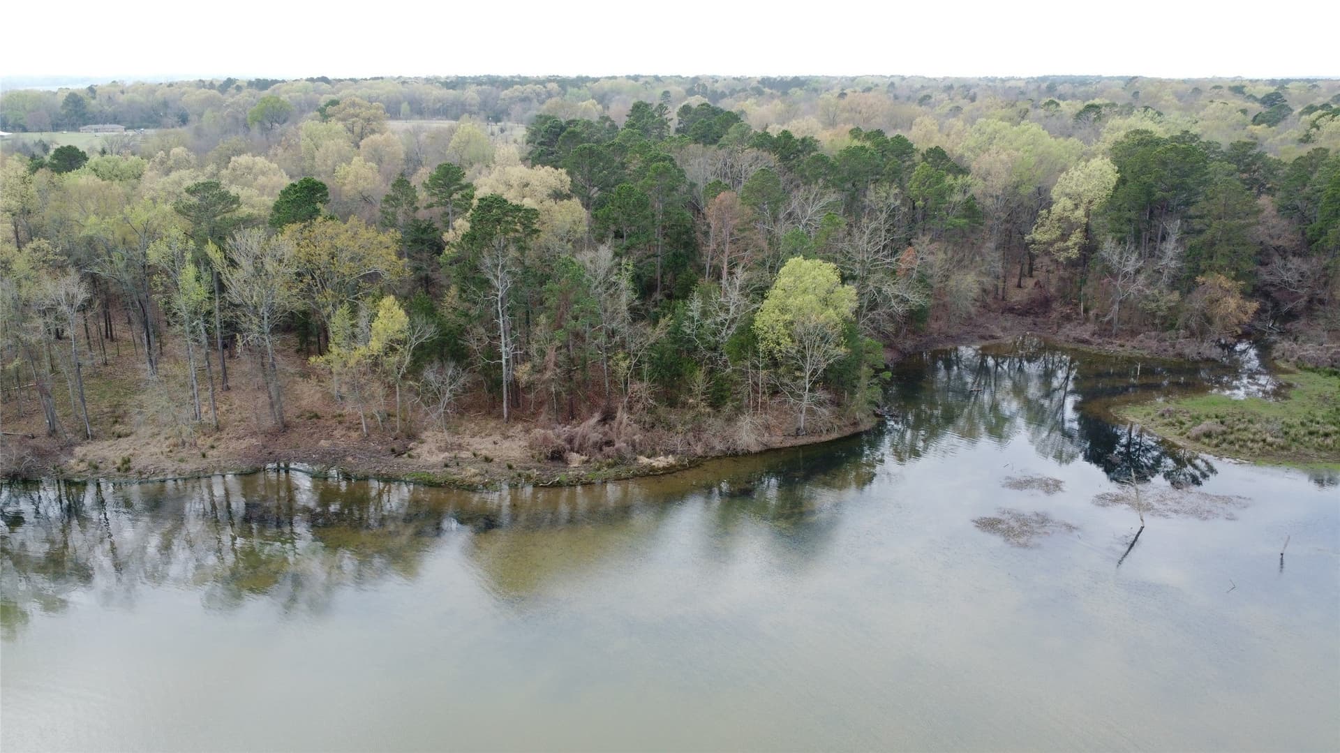 69.14 acres in Titus County - photo 32