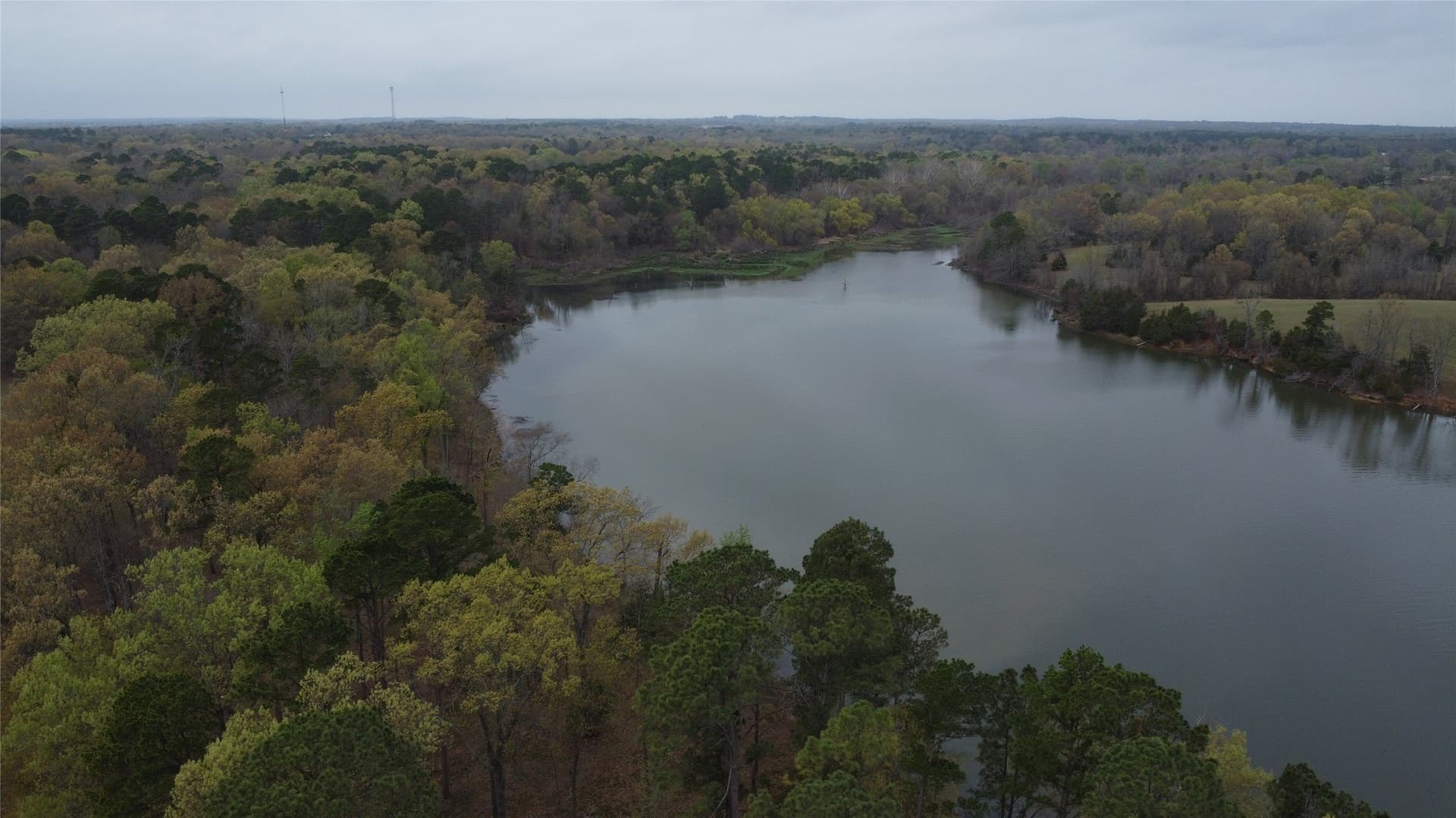 69.14 acres in Titus County - photo 12