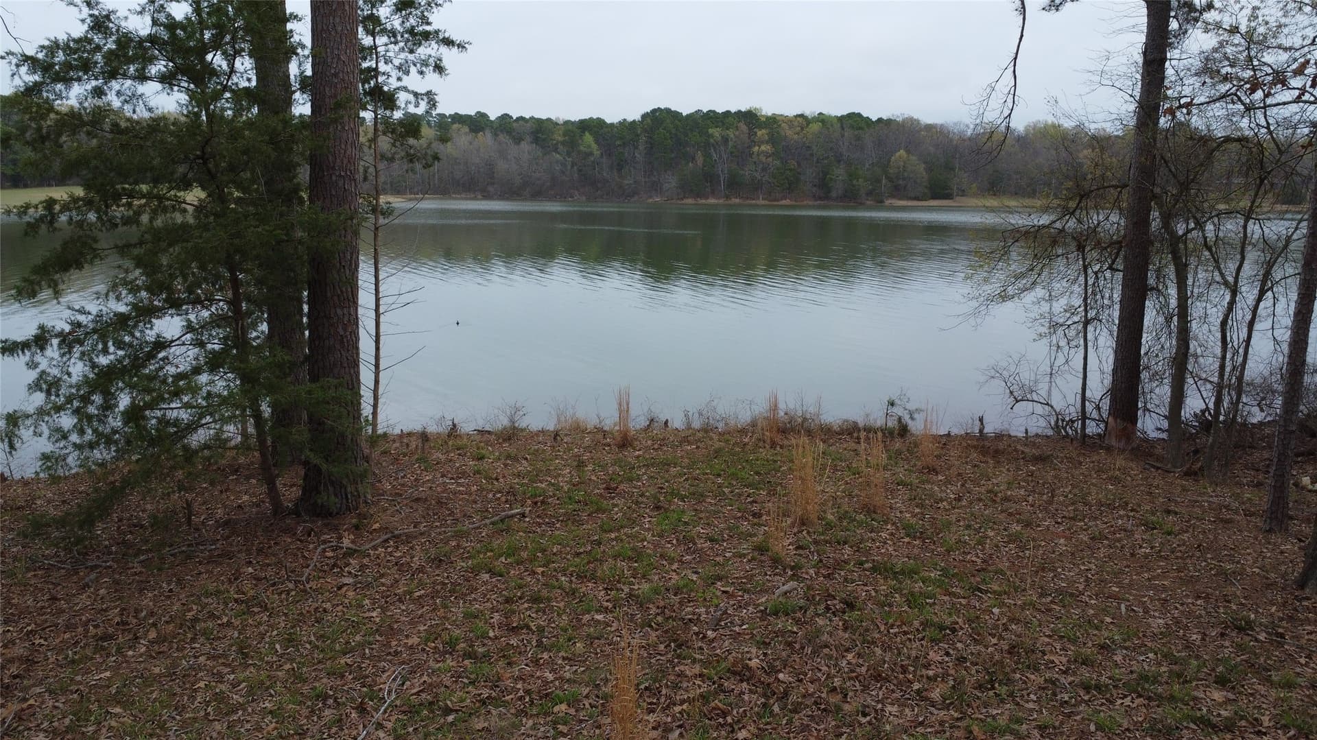 69.14 acres in Titus County - photo 4