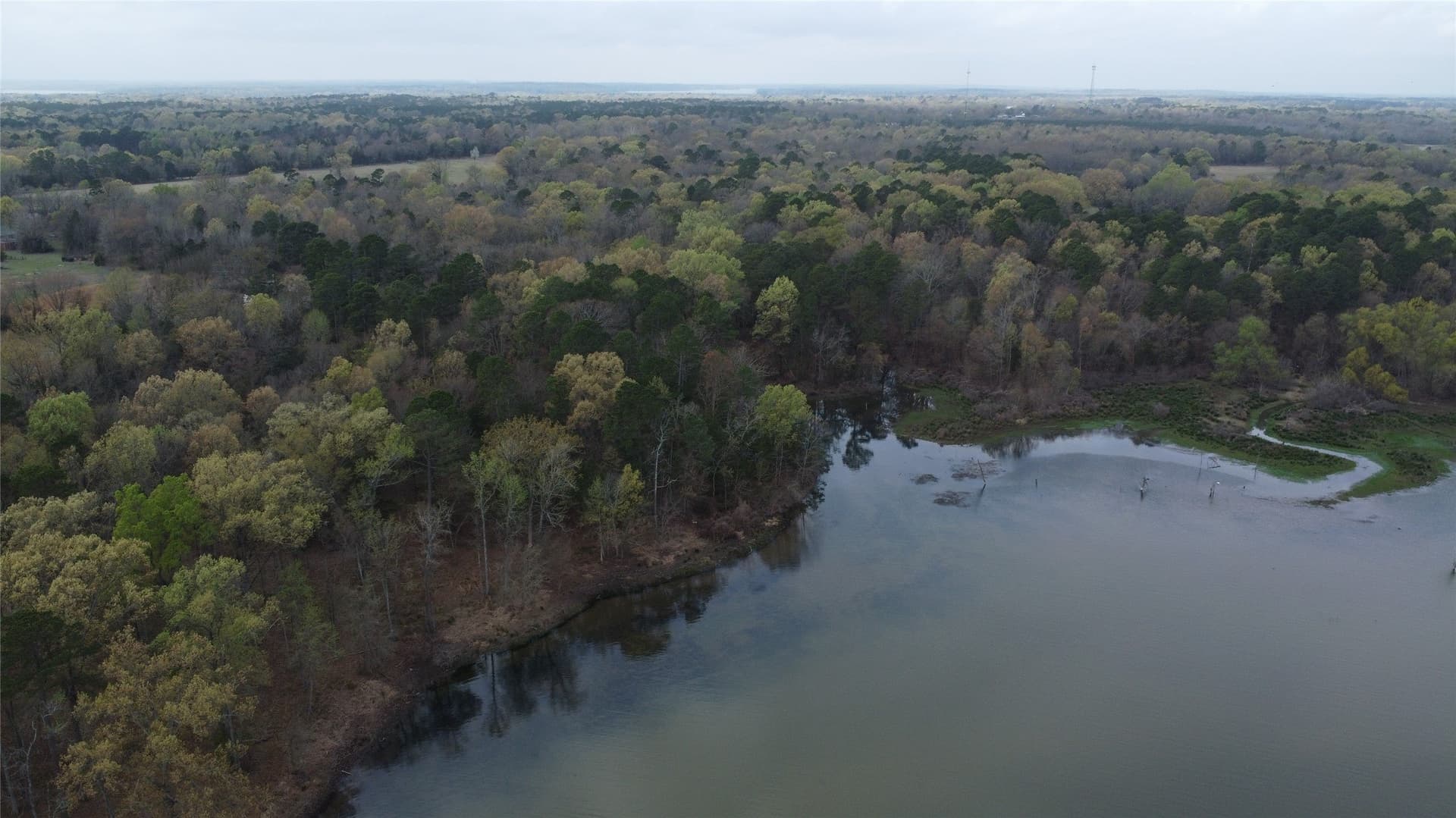 69.14 acres in Titus County - photo 33