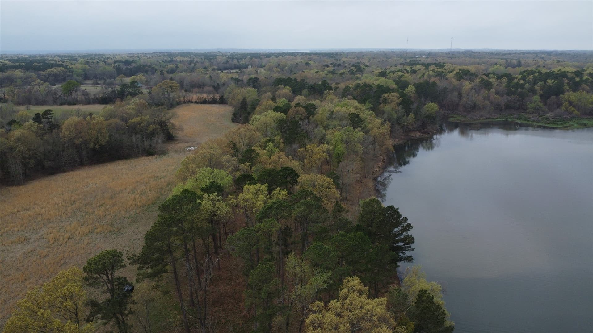 69.14 acres in Titus County - photo 11