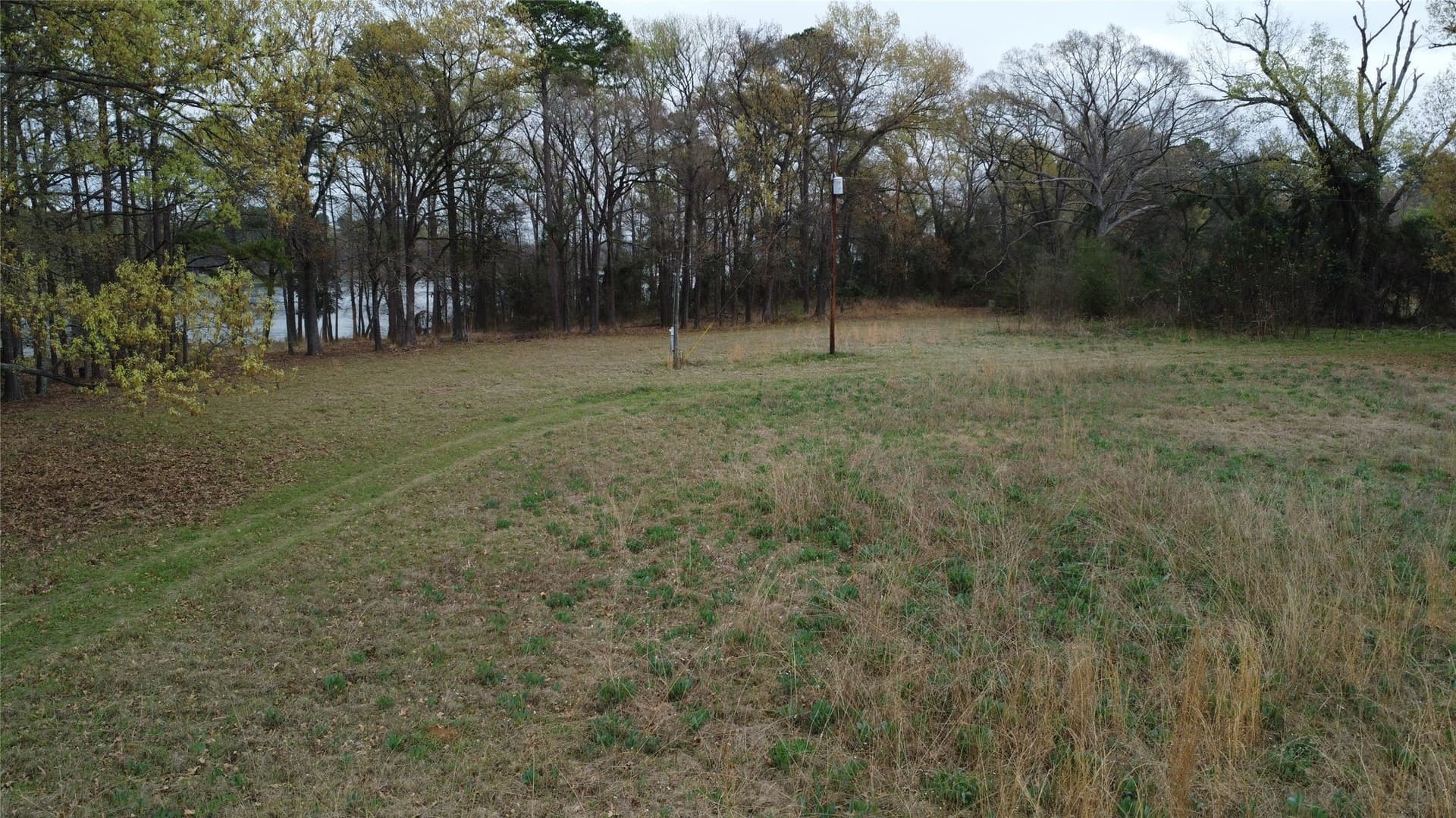 69.14 acres in Titus County - photo 9