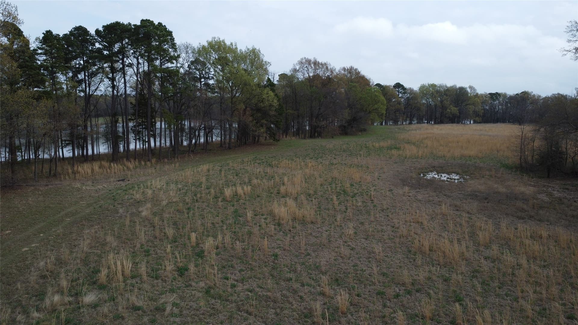 69.14 acres in Titus County - photo 28