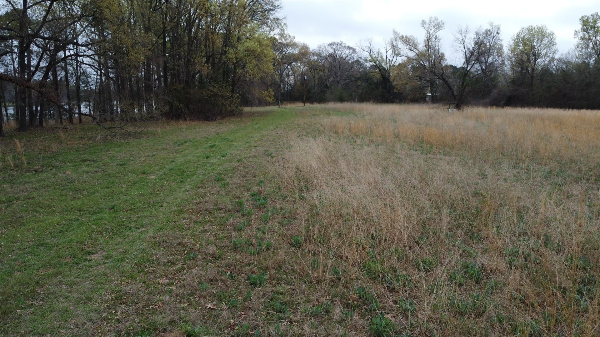 69.14 acres in Titus County - photo 15
