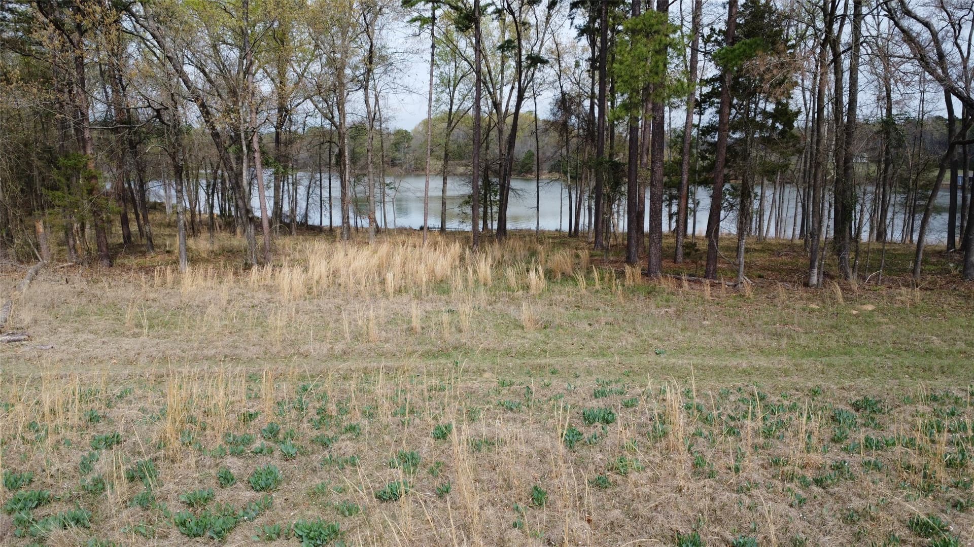 69.14 acres in Titus County - photo 35