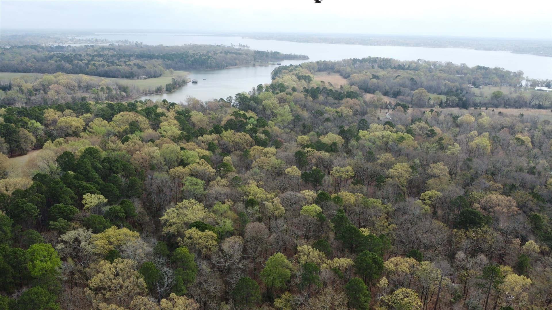 69.14 acres in Titus County - photo 24